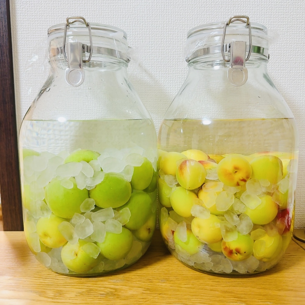 取っ手付き 果実酒用ビン 商品レビュー | 通販 | 無印良品