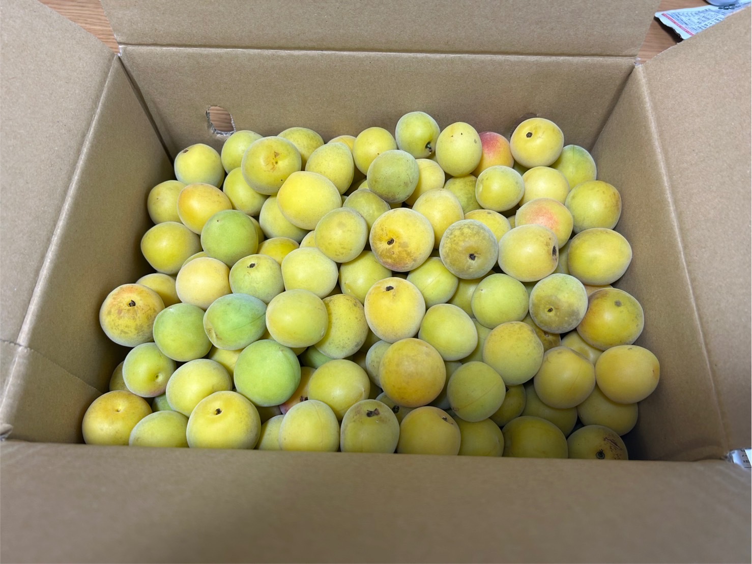 レビュー投稿画像