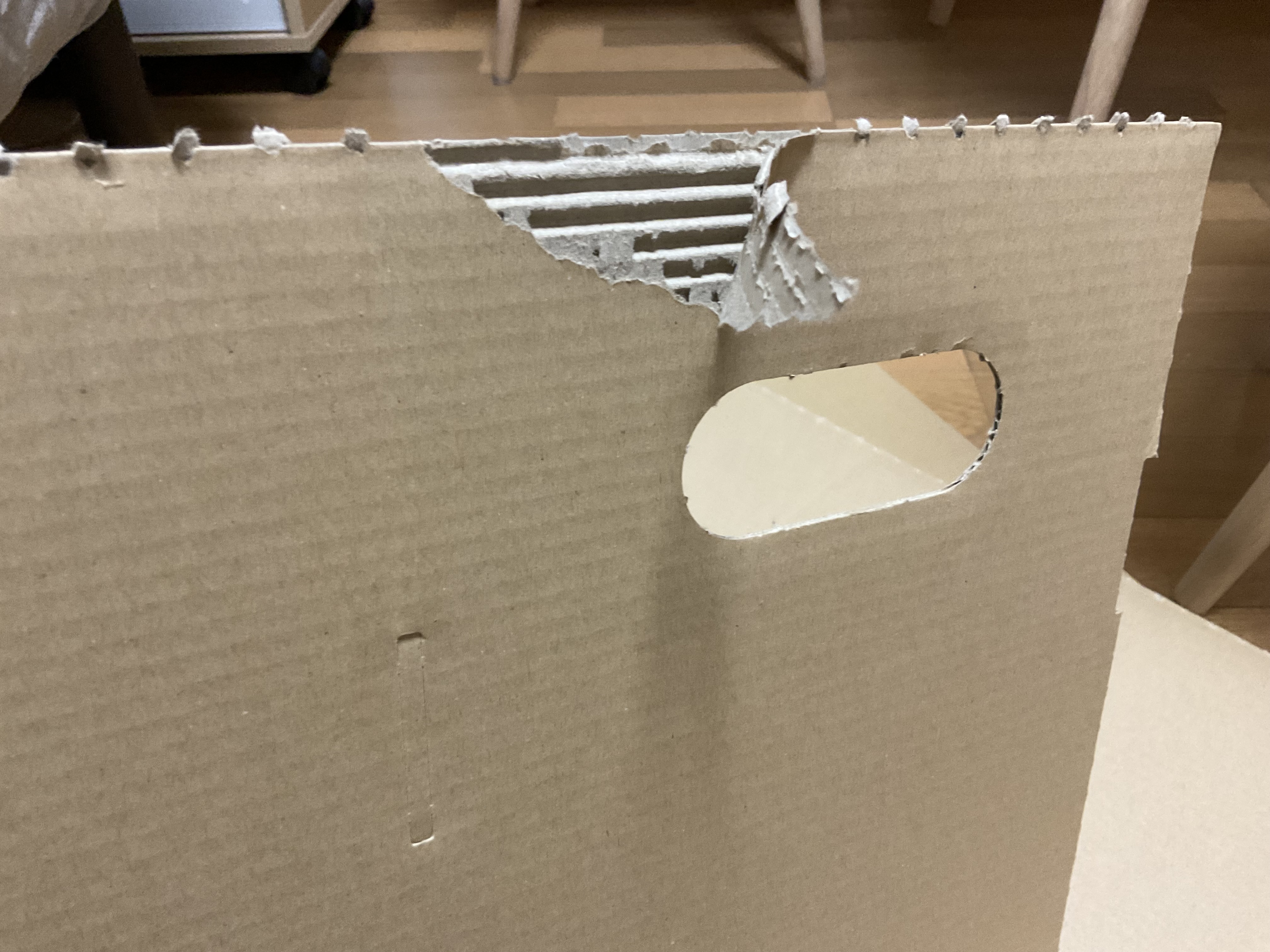 レビュー投稿画像