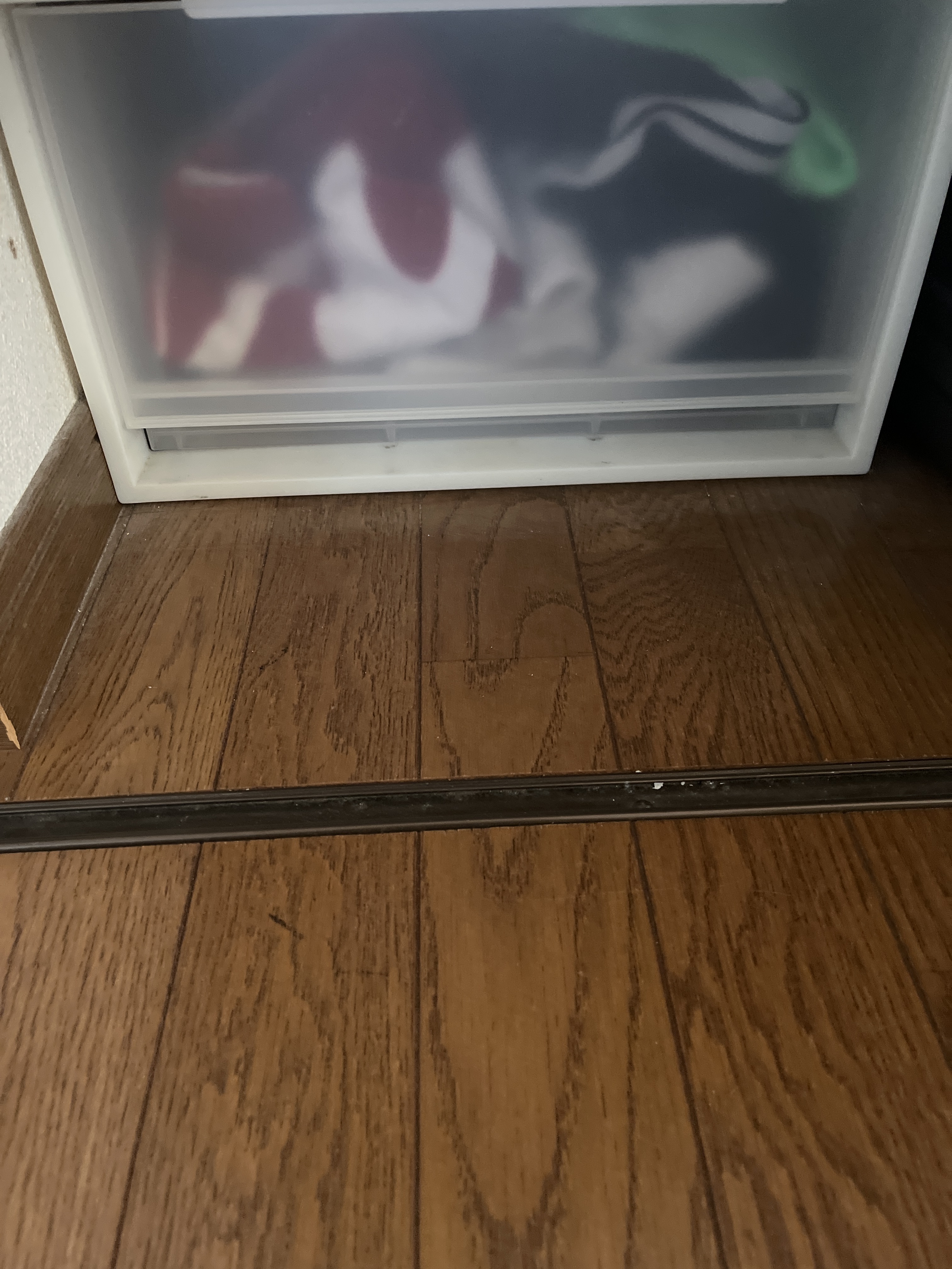 レビュー投稿画像