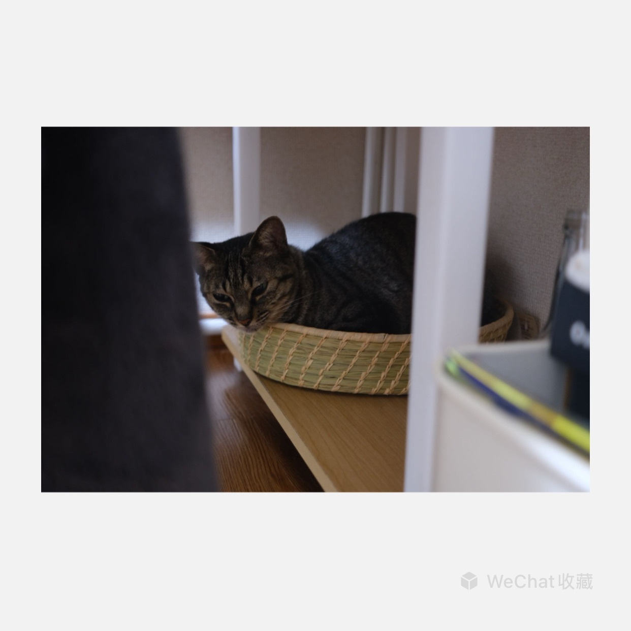 レビュー投稿画像