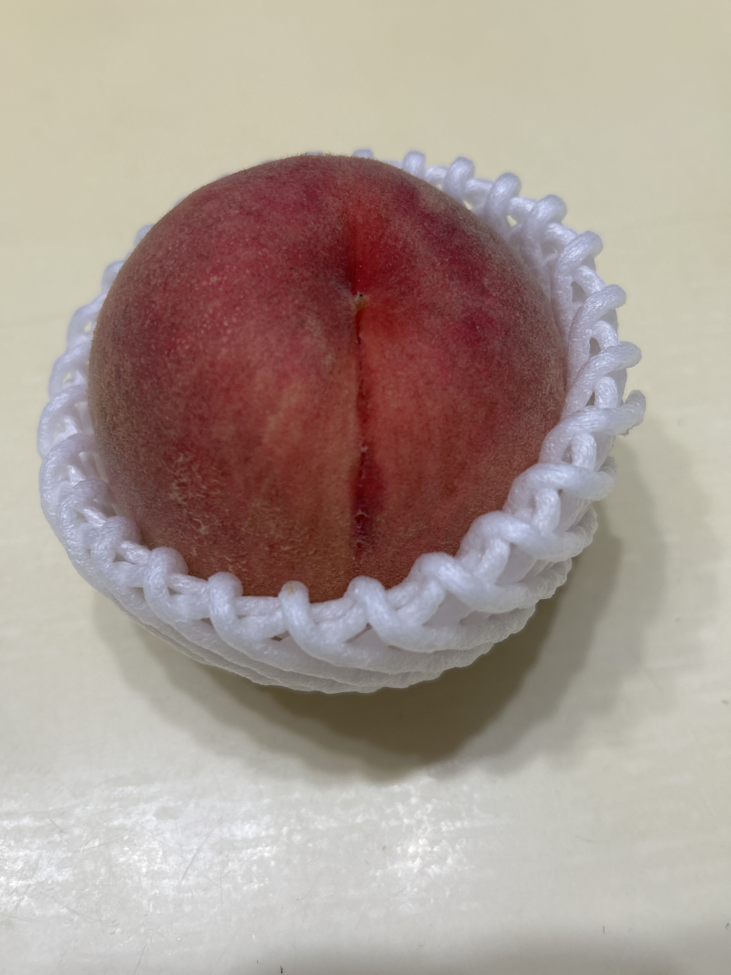 レビュー投稿画像
