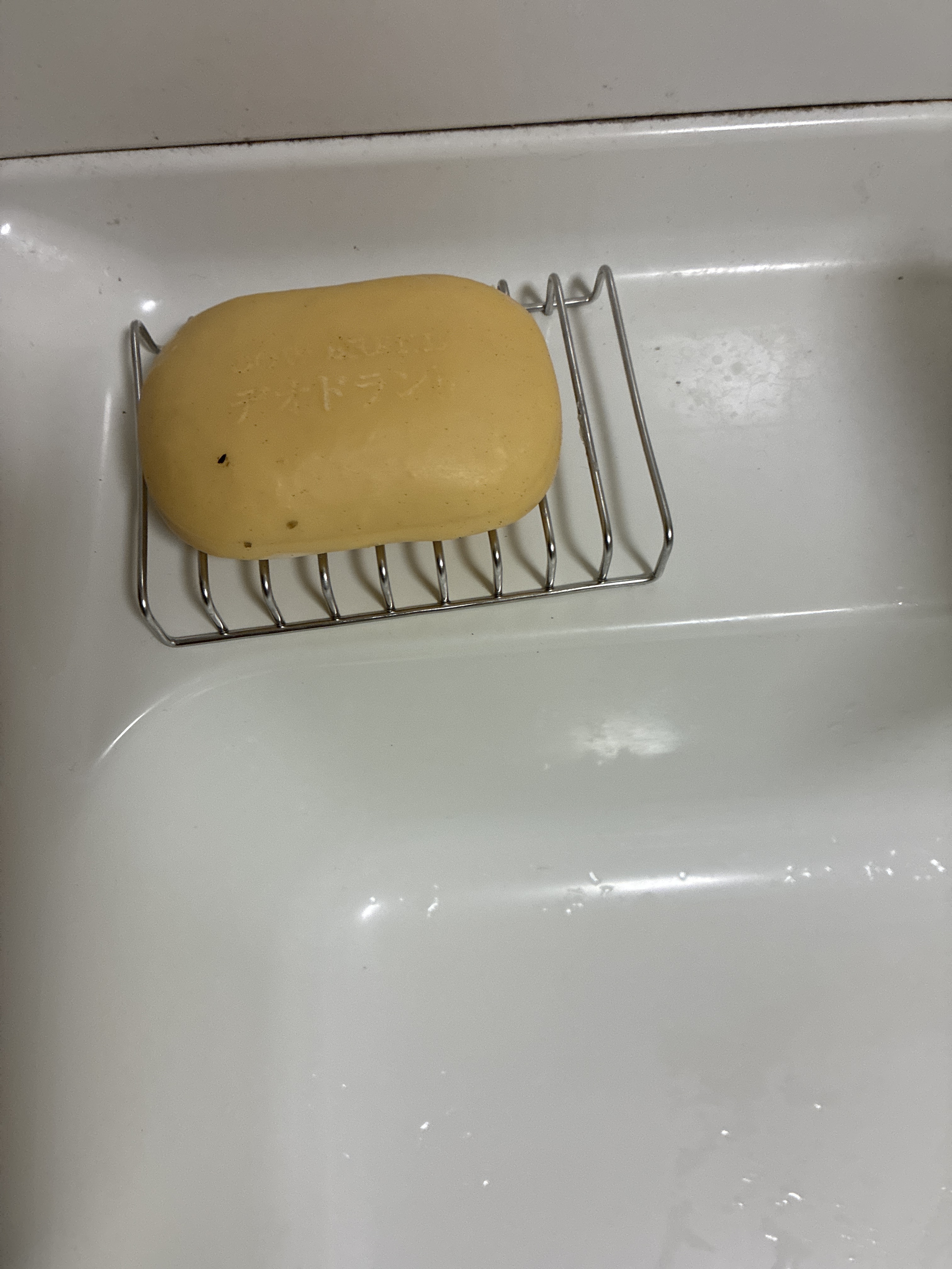 レビュー投稿画像