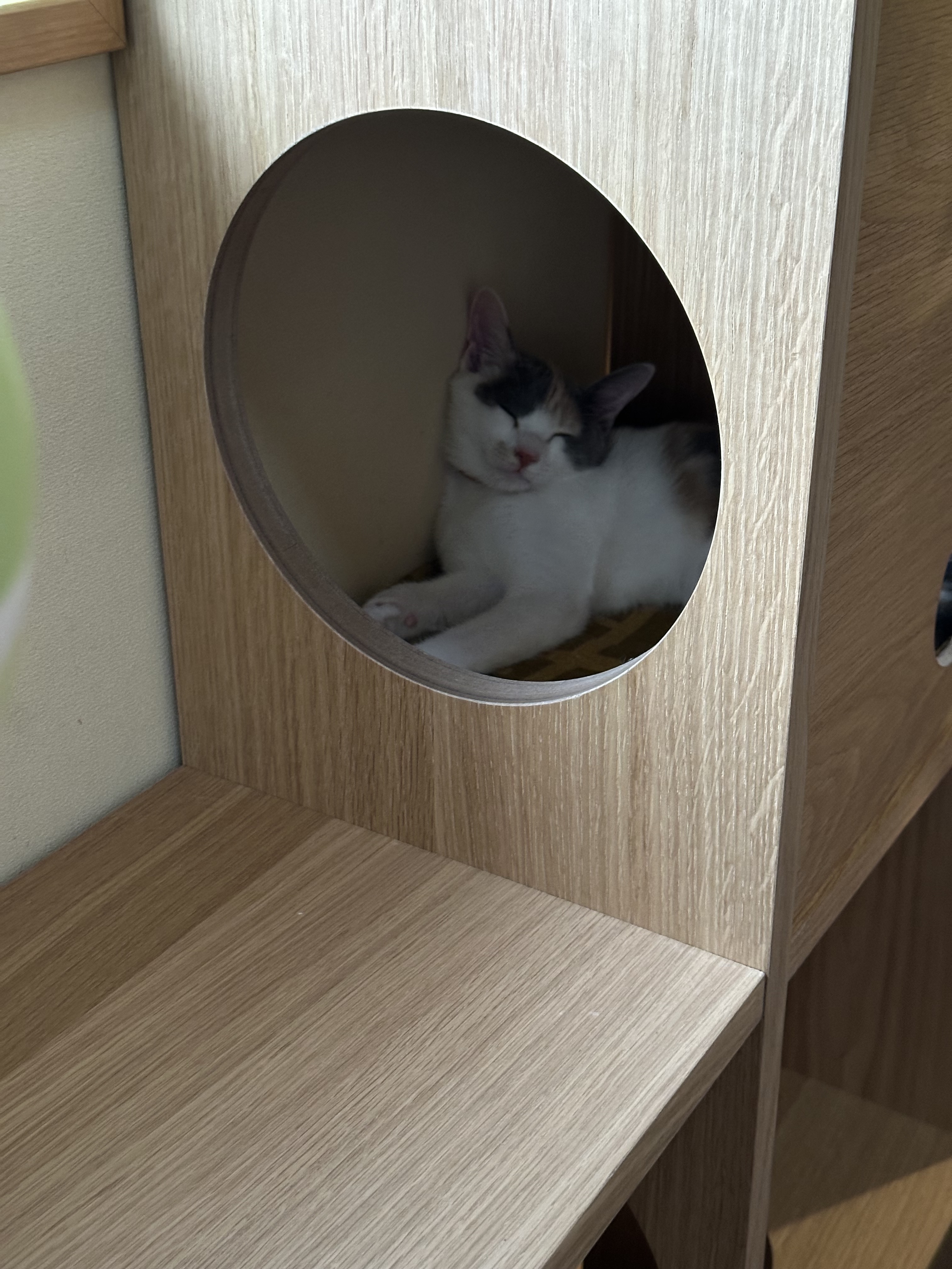 レビュー投稿画像