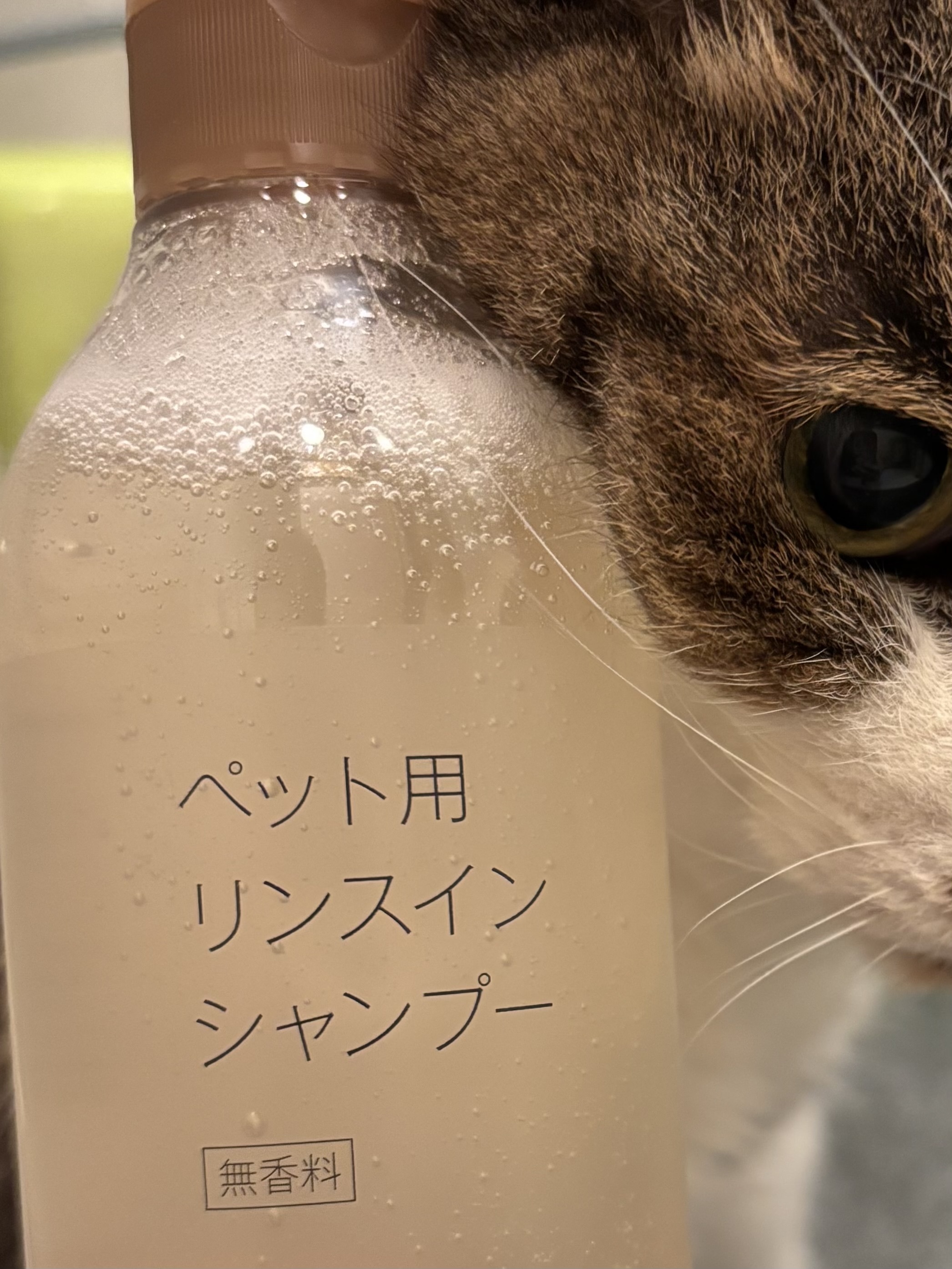 レビュー投稿画像