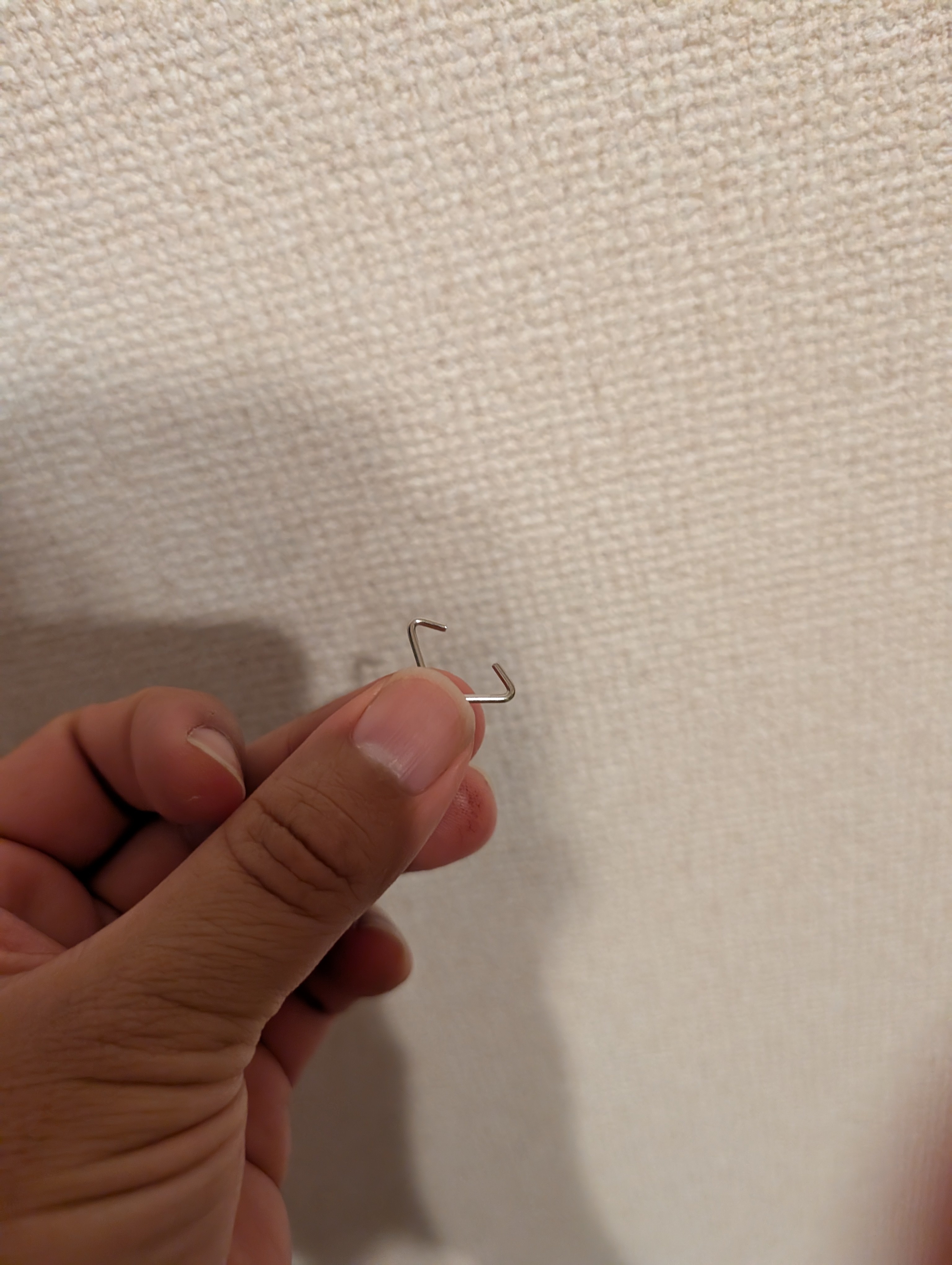 レビュー投稿画像