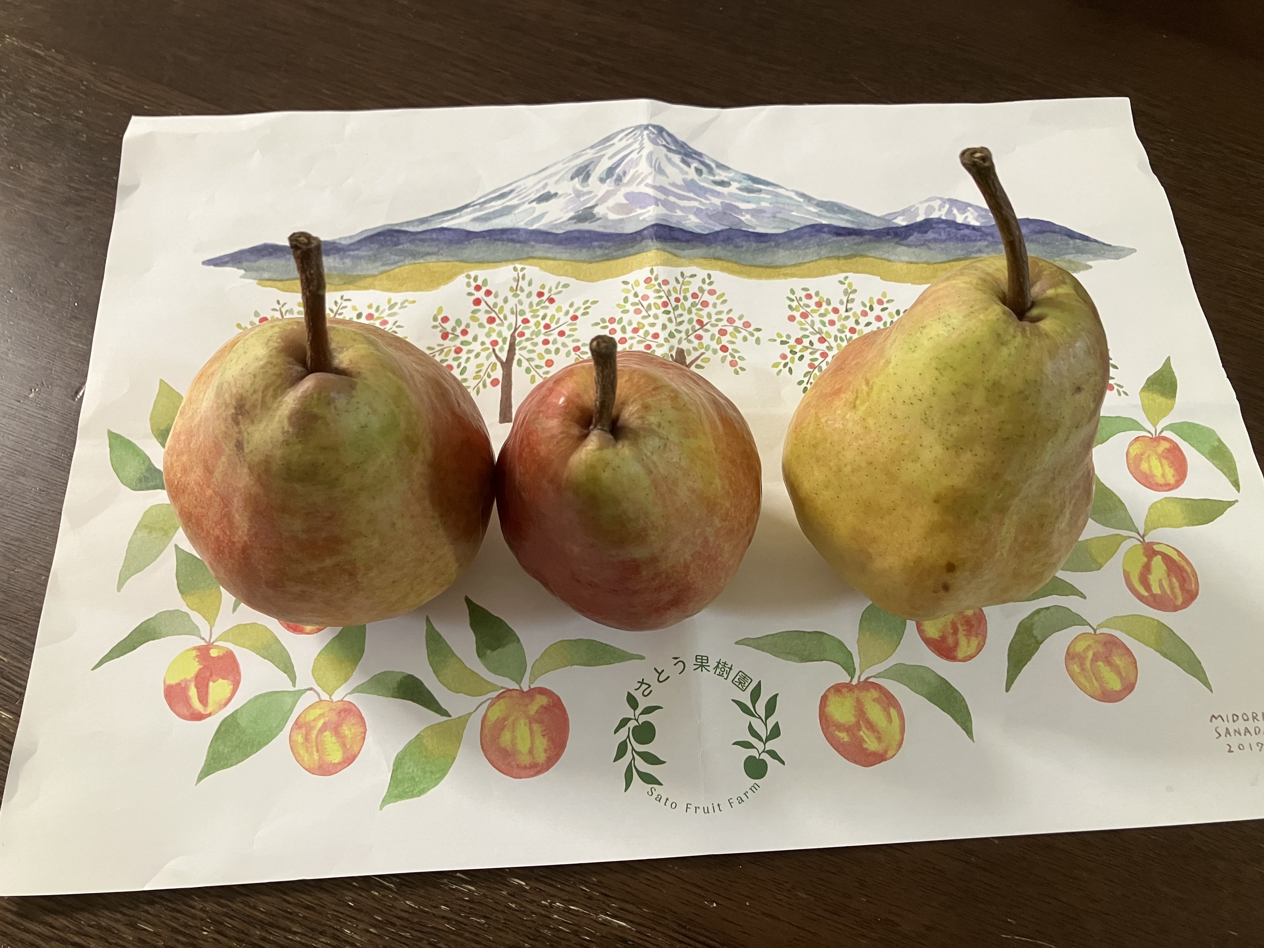 レビュー投稿画像