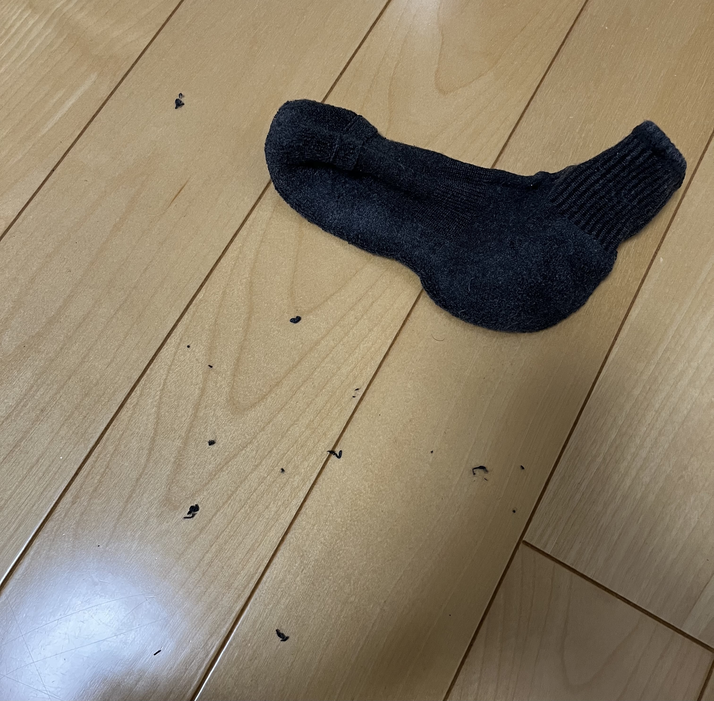 レビュー投稿画像