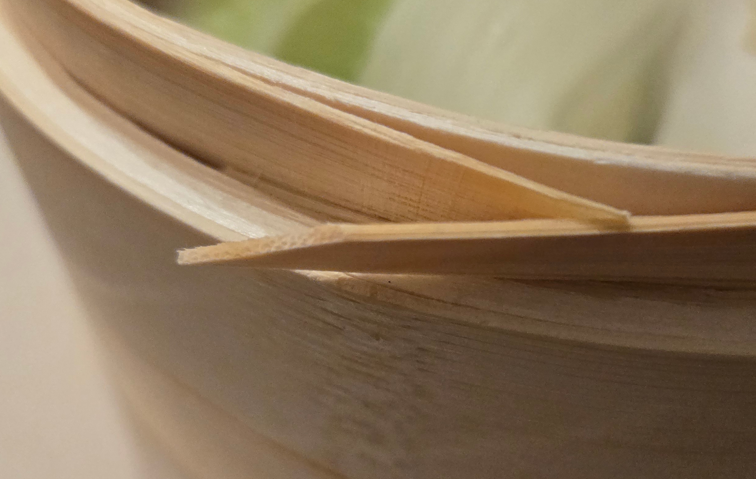 レビュー投稿画像