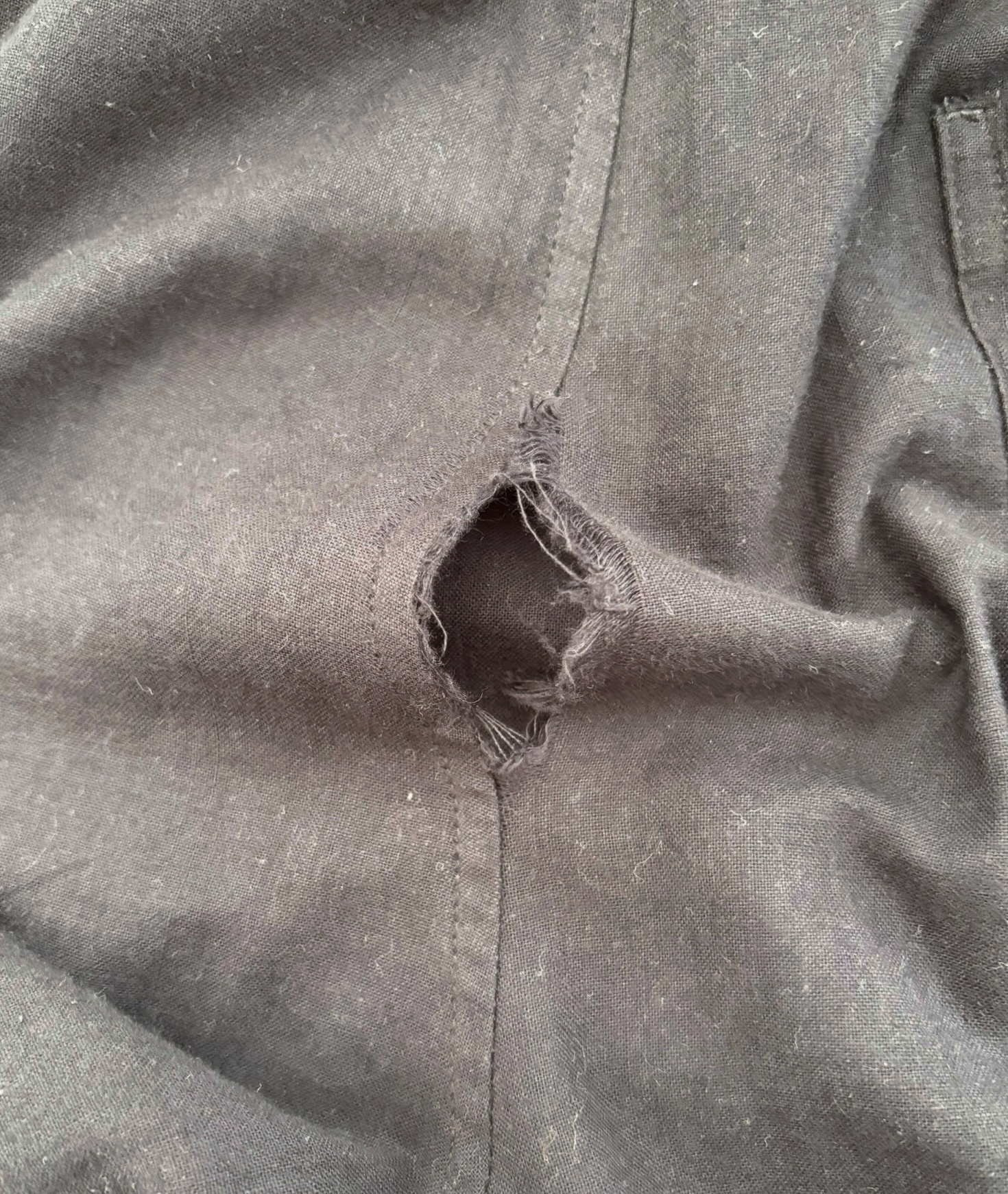 レビュー投稿画像