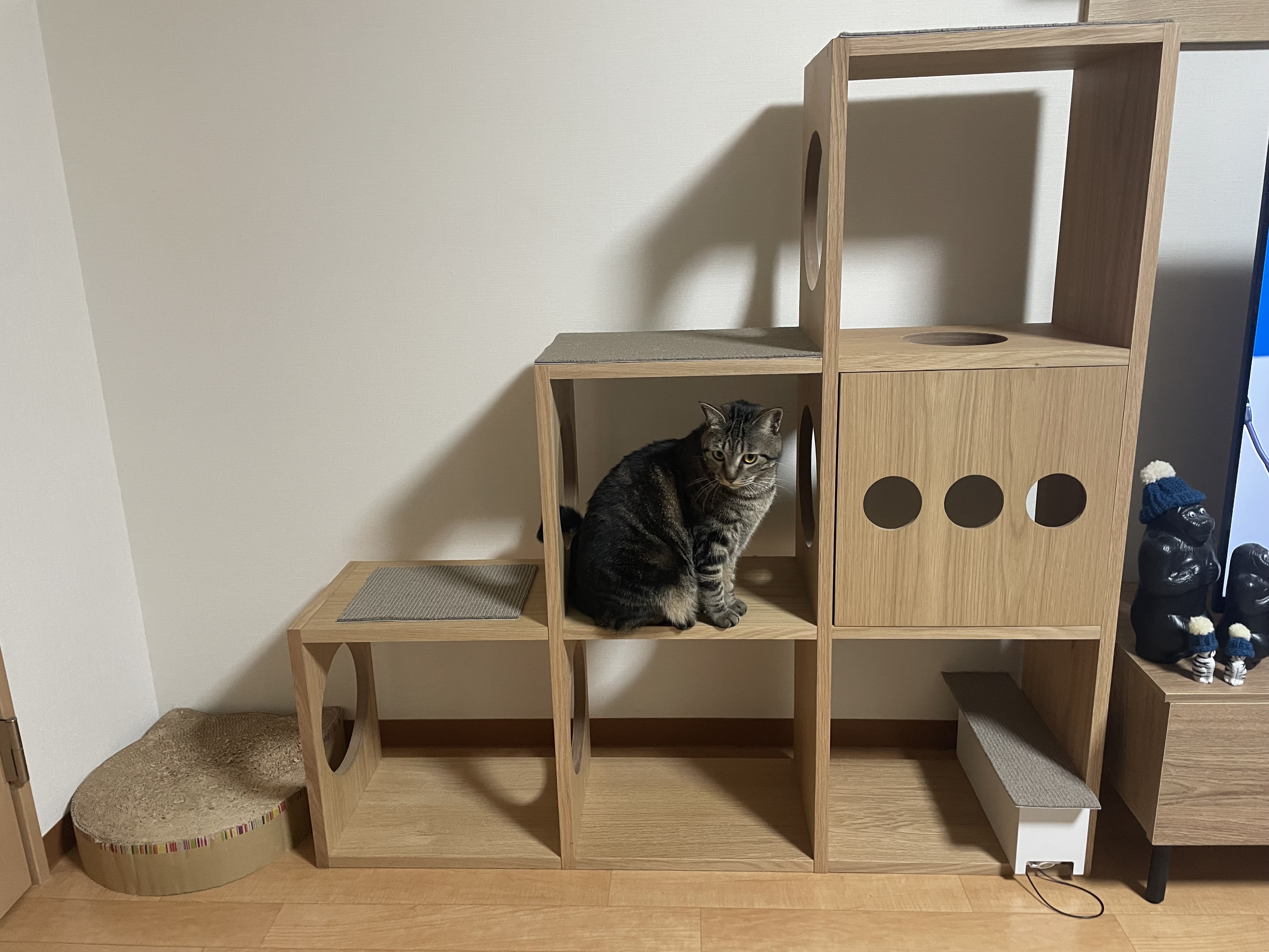 レビュー投稿画像