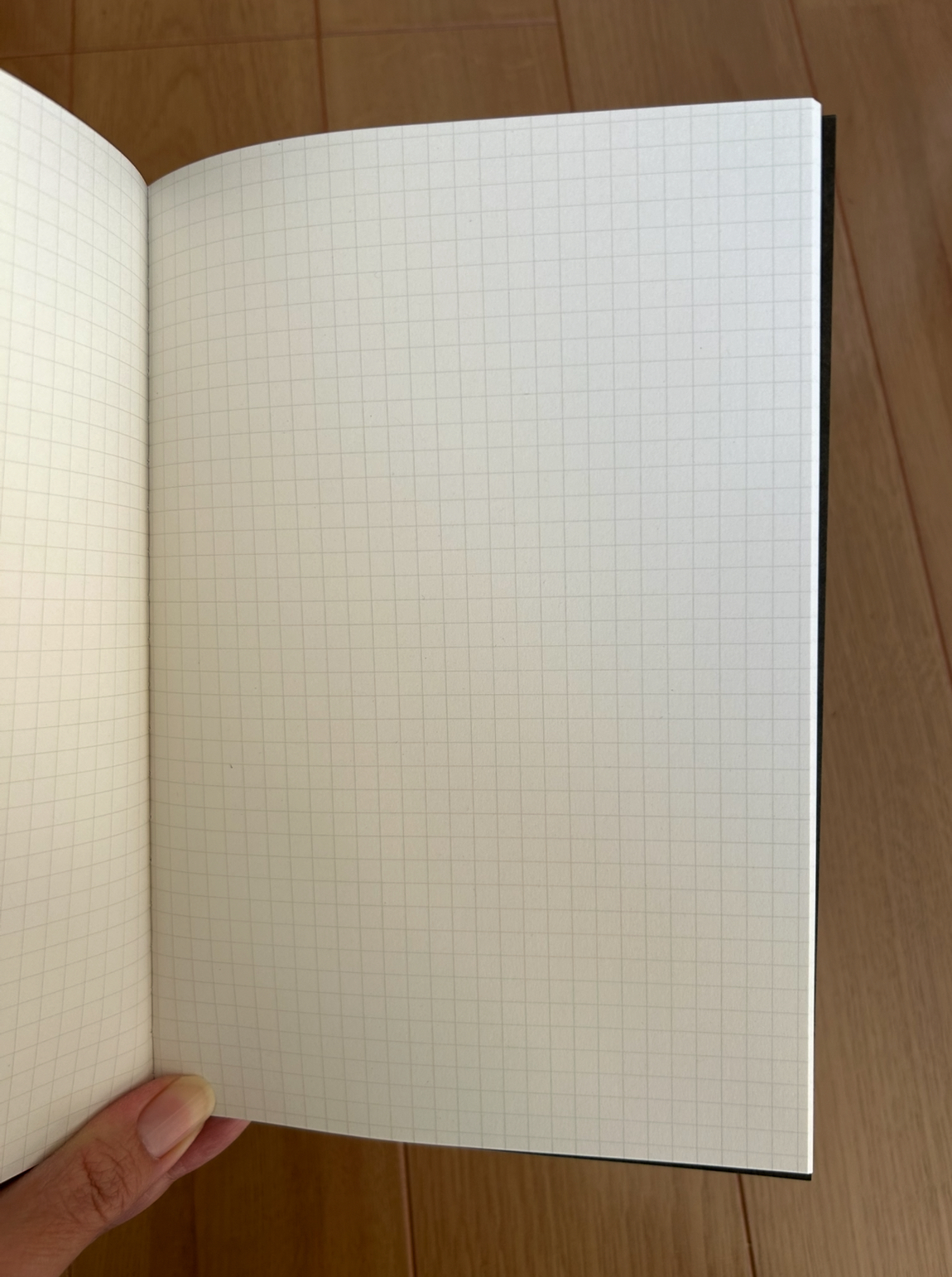 レビュー投稿画像