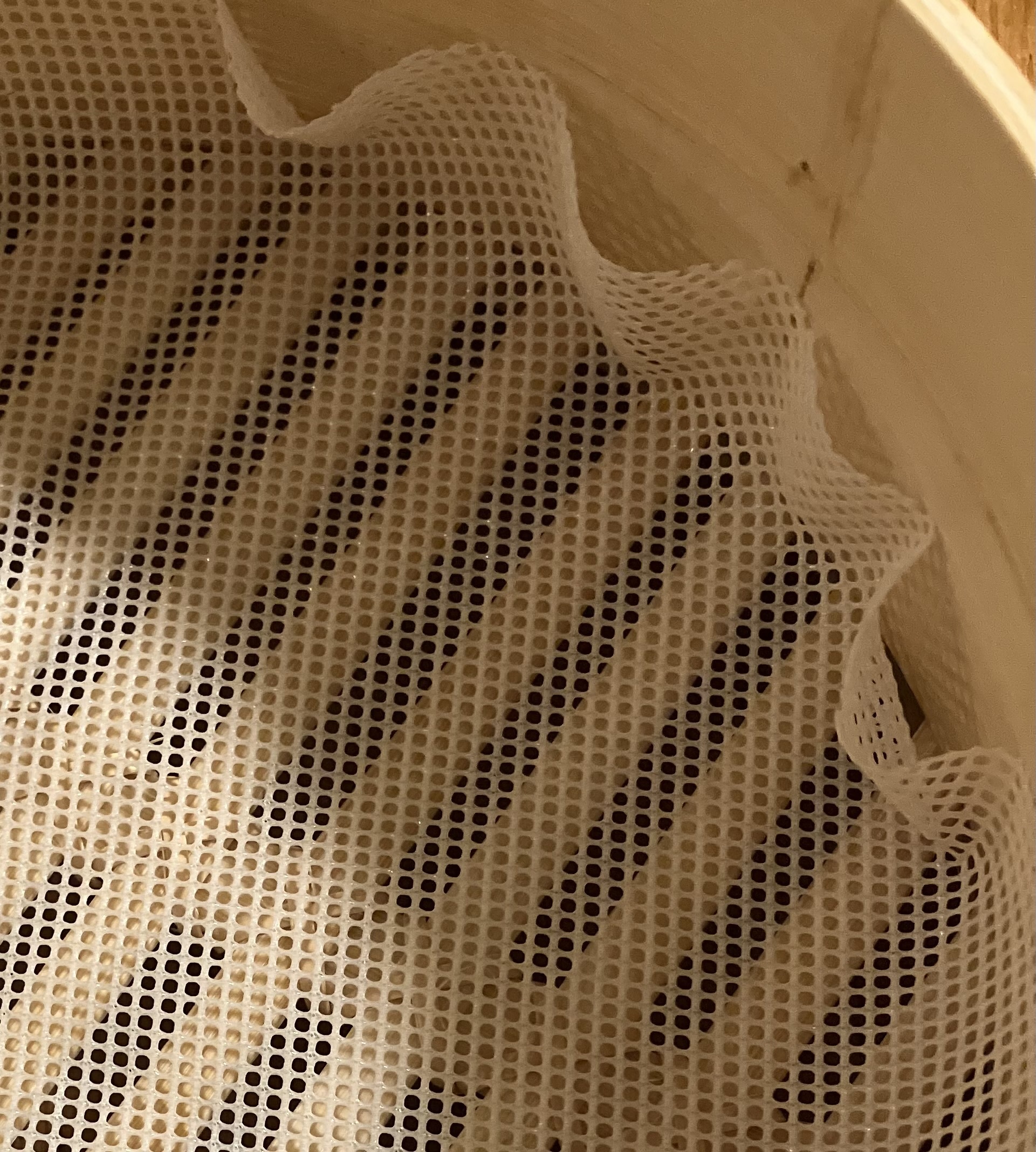 レビュー投稿画像