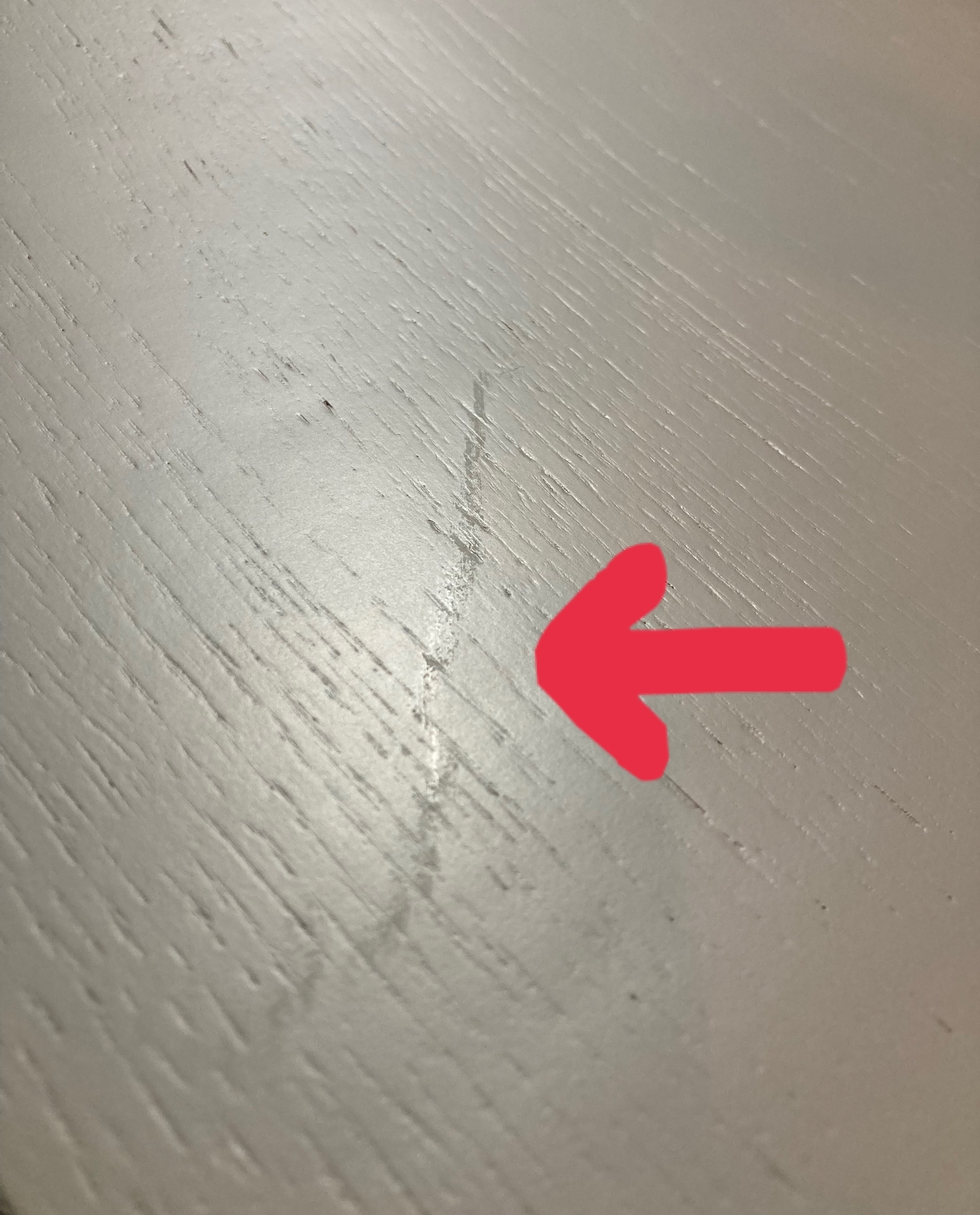 レビュー投稿画像