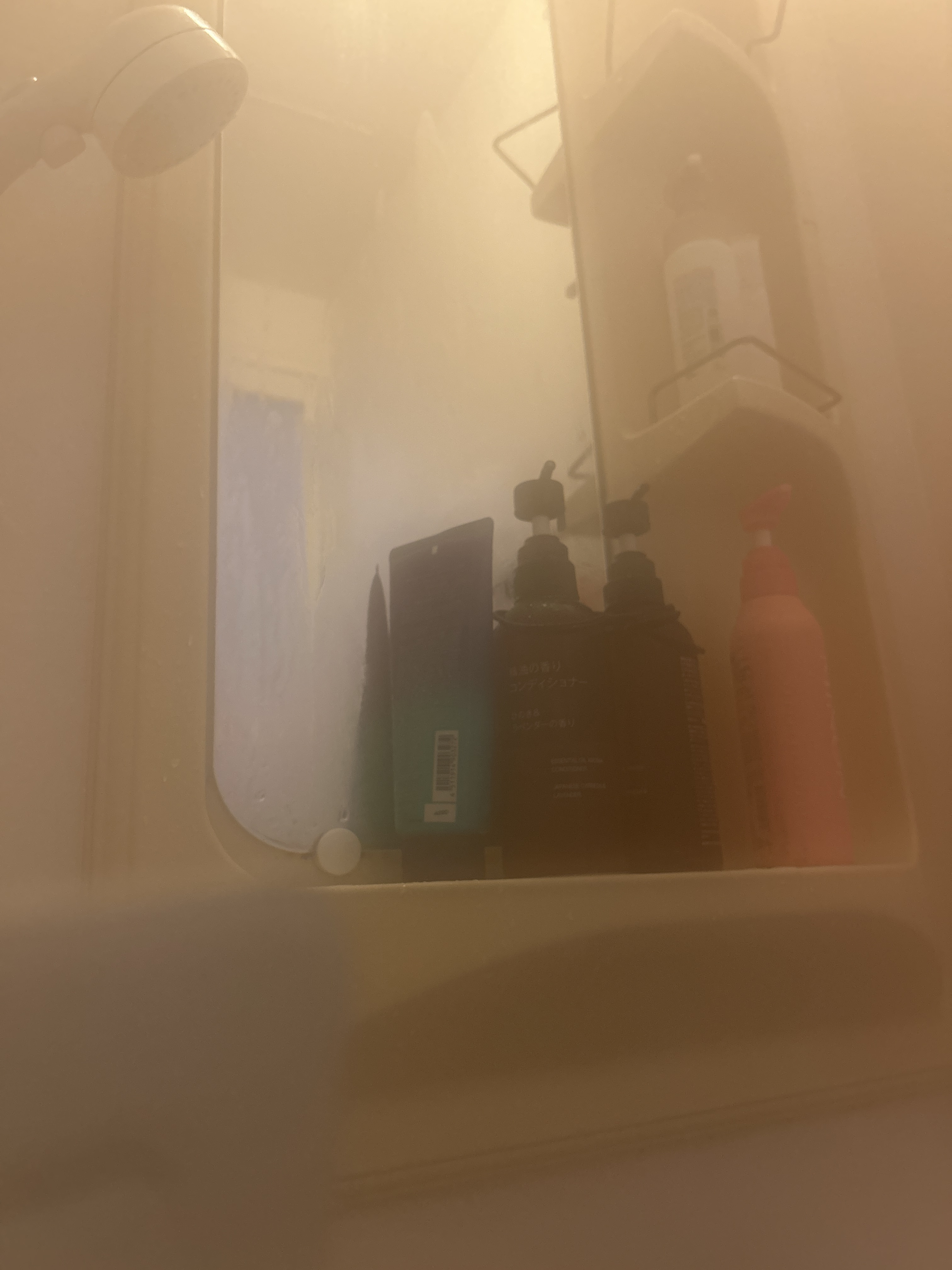 レビュー投稿画像