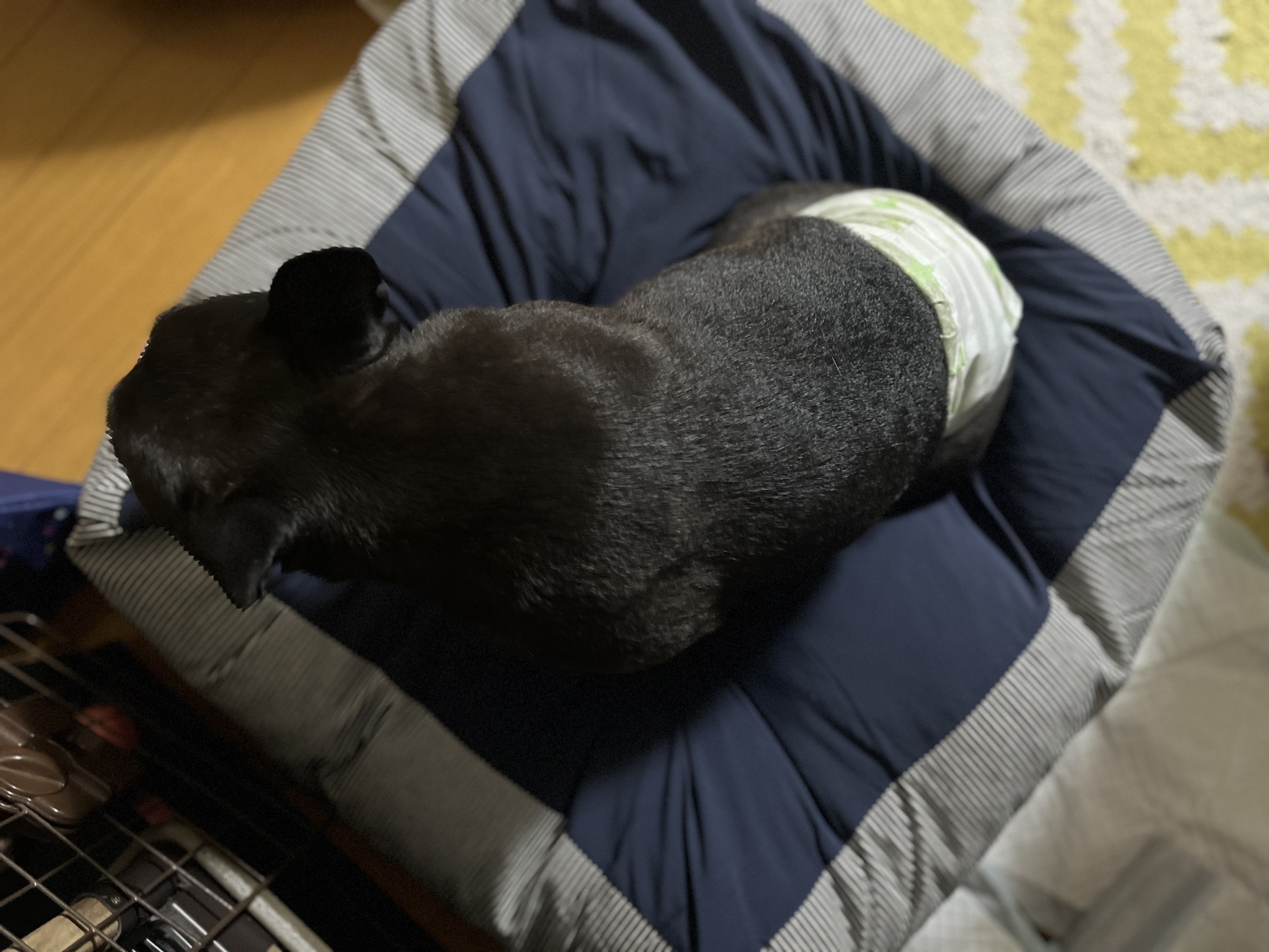 レビュー投稿画像