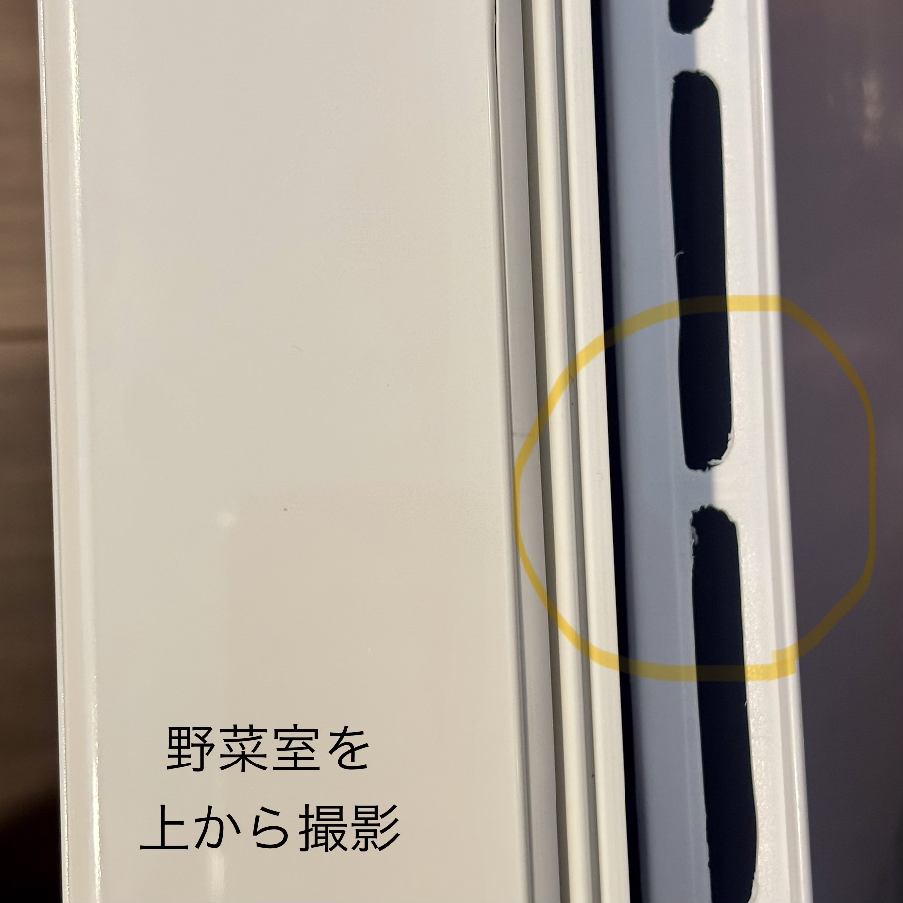 レビュー投稿画像