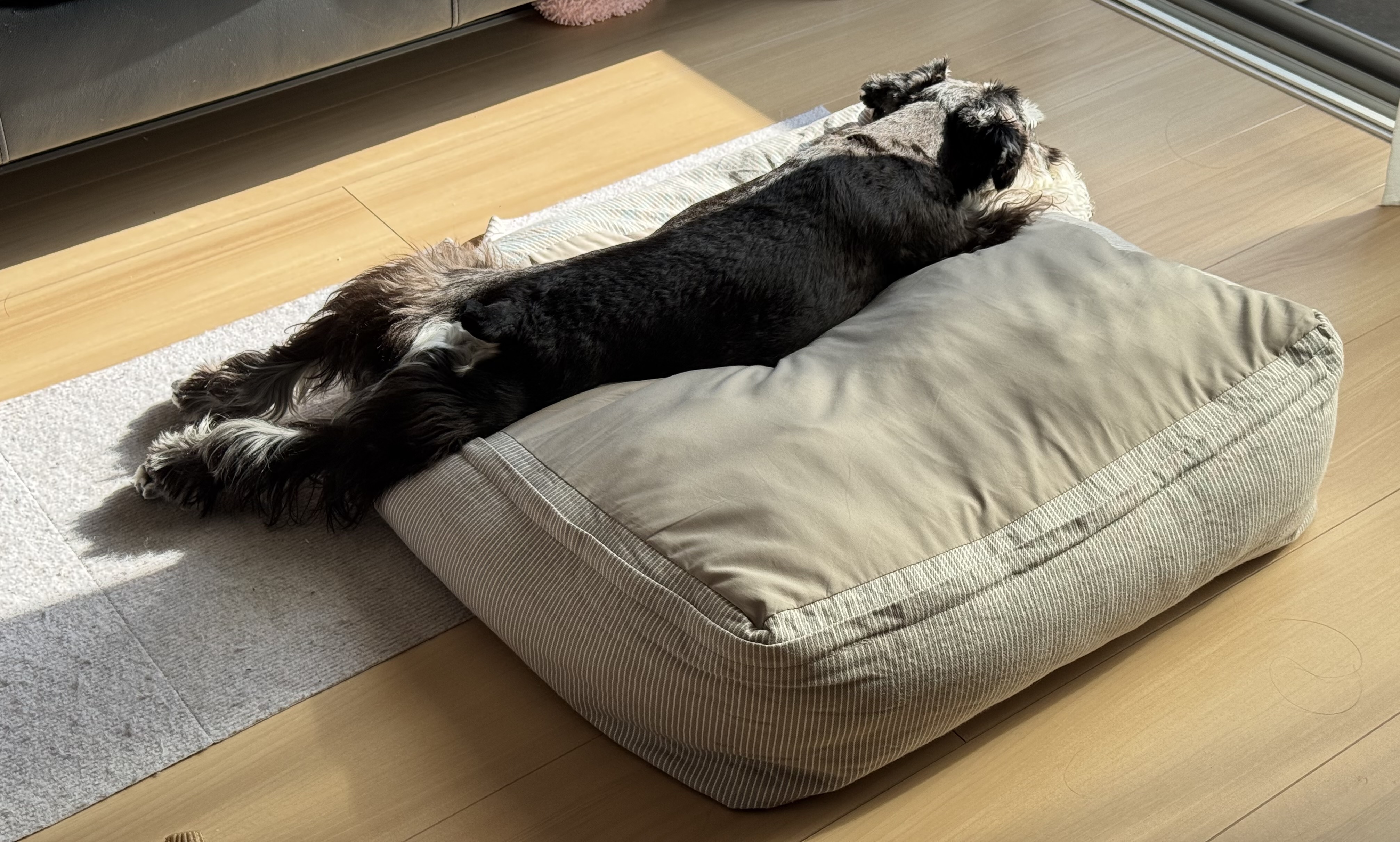 レビュー投稿画像