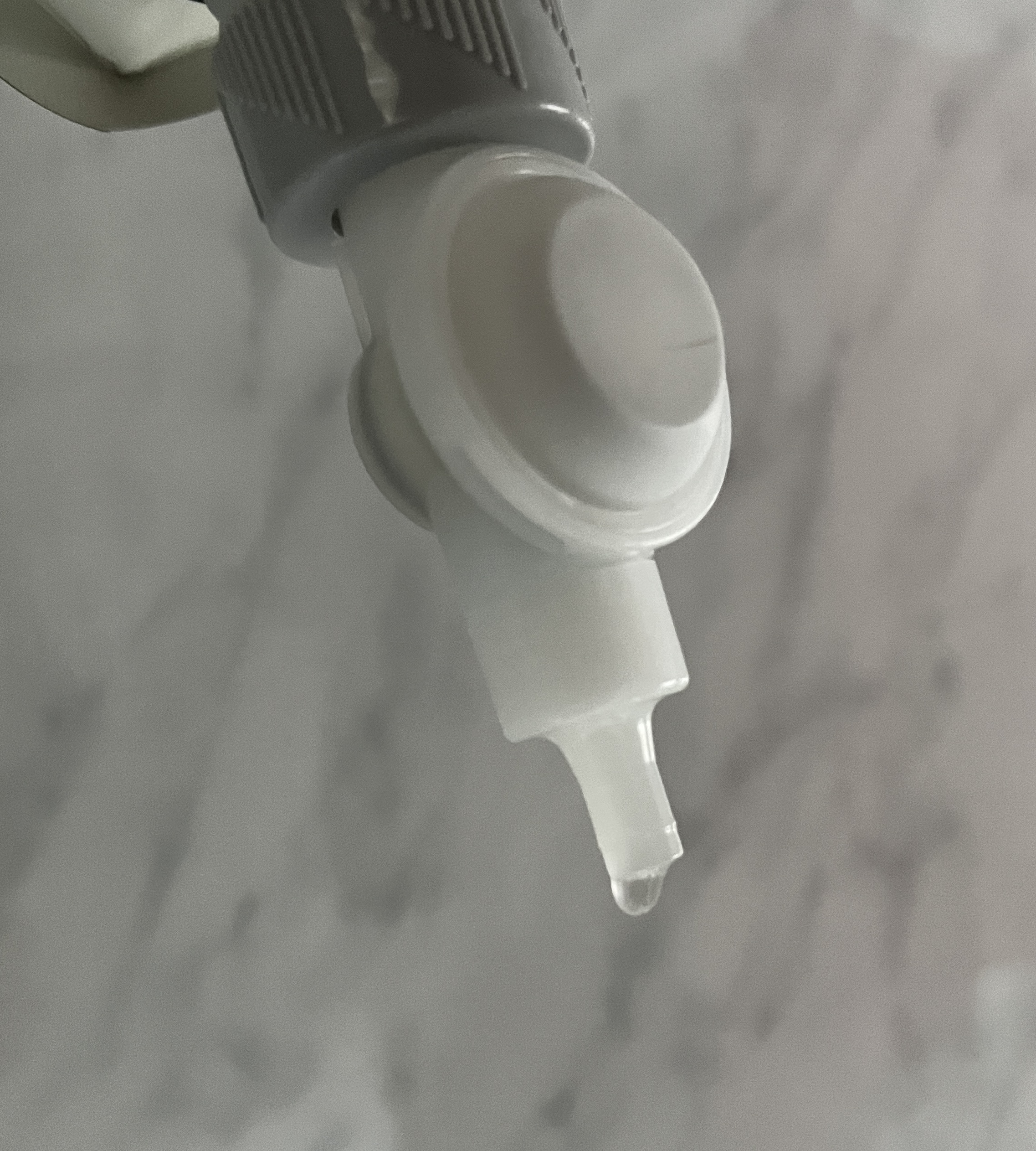 レビュー投稿画像