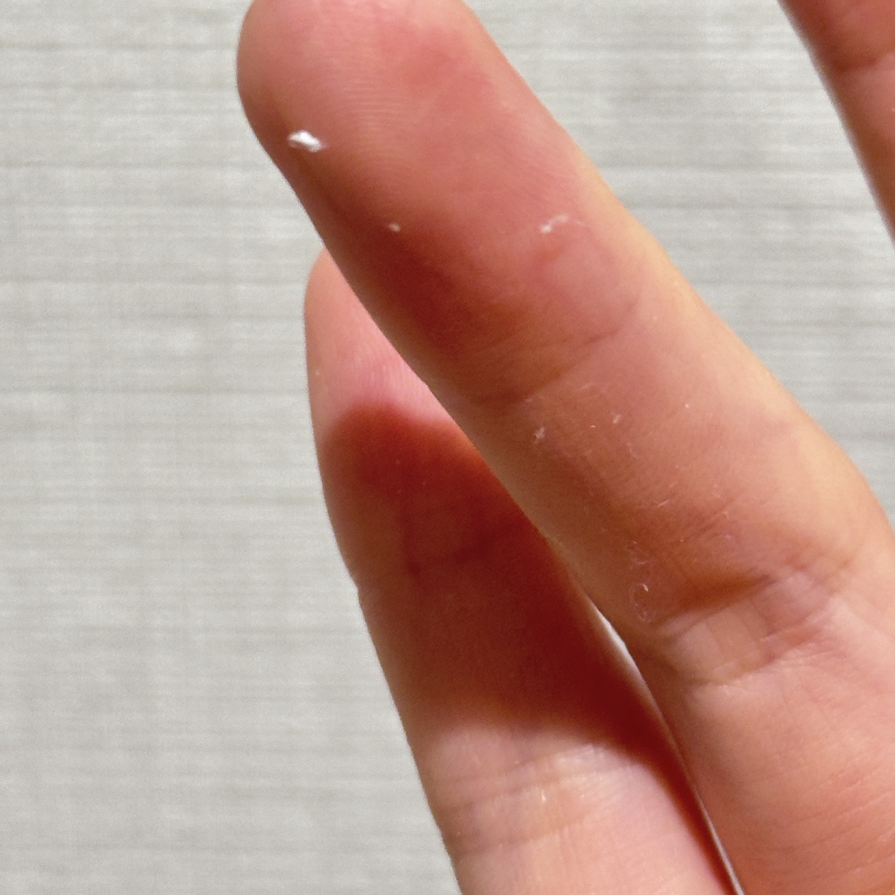 レビュー投稿画像