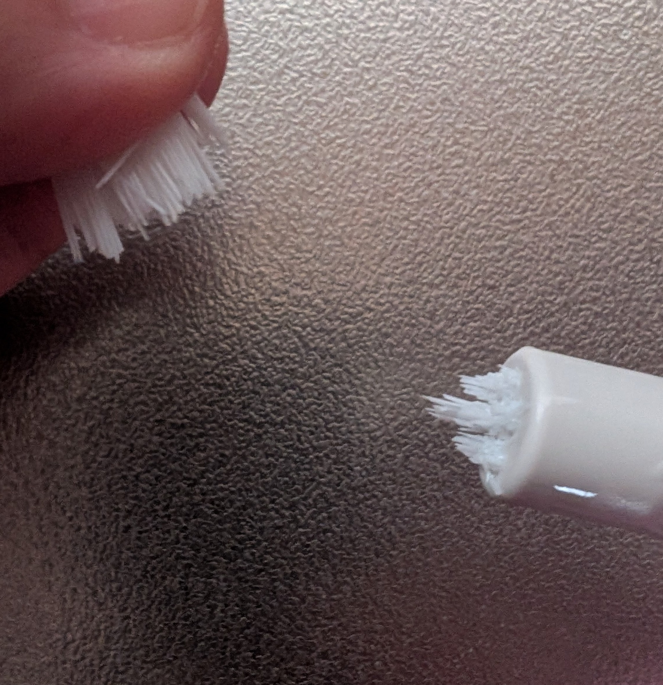 レビュー投稿画像