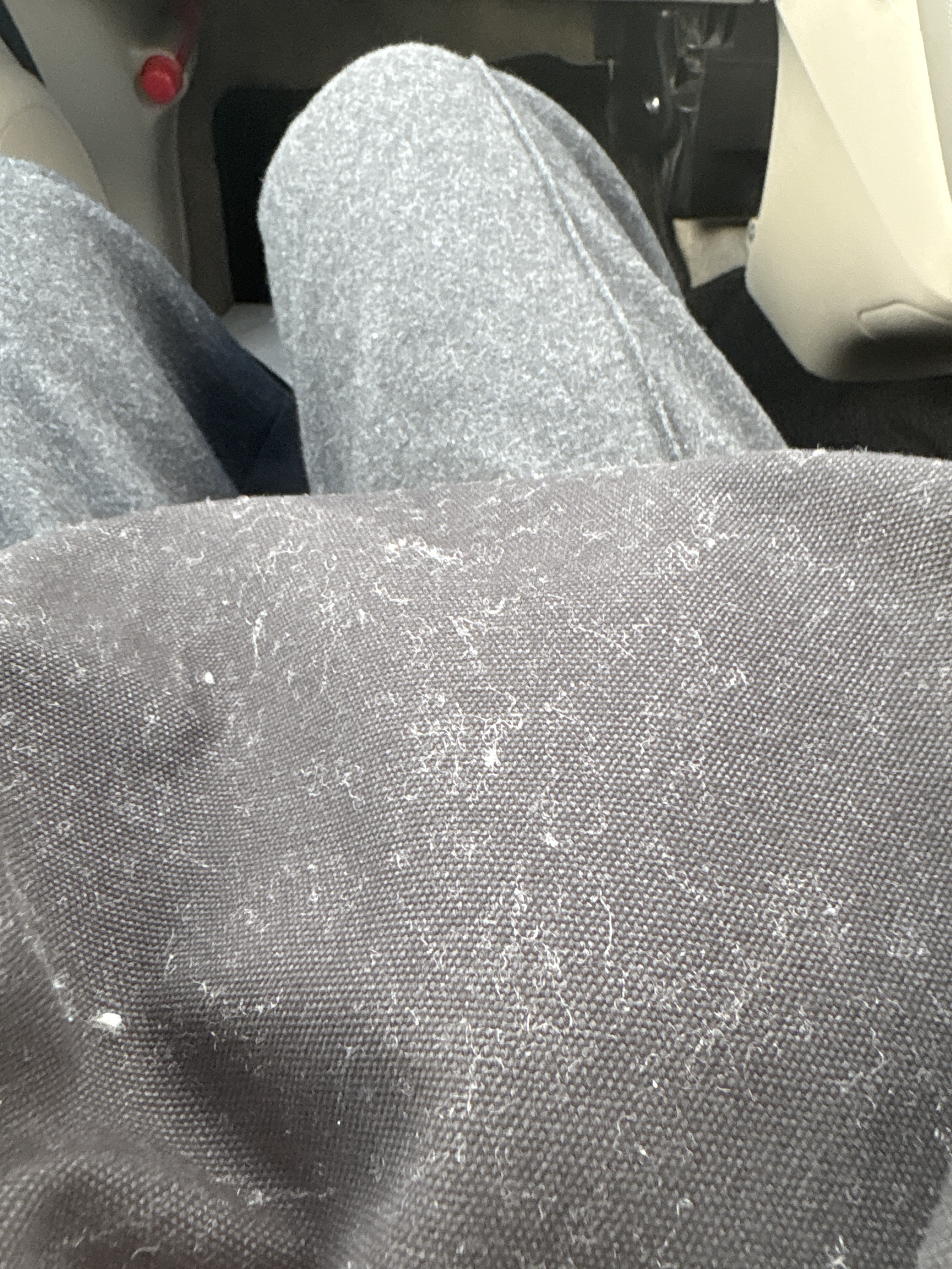 レビュー投稿画像