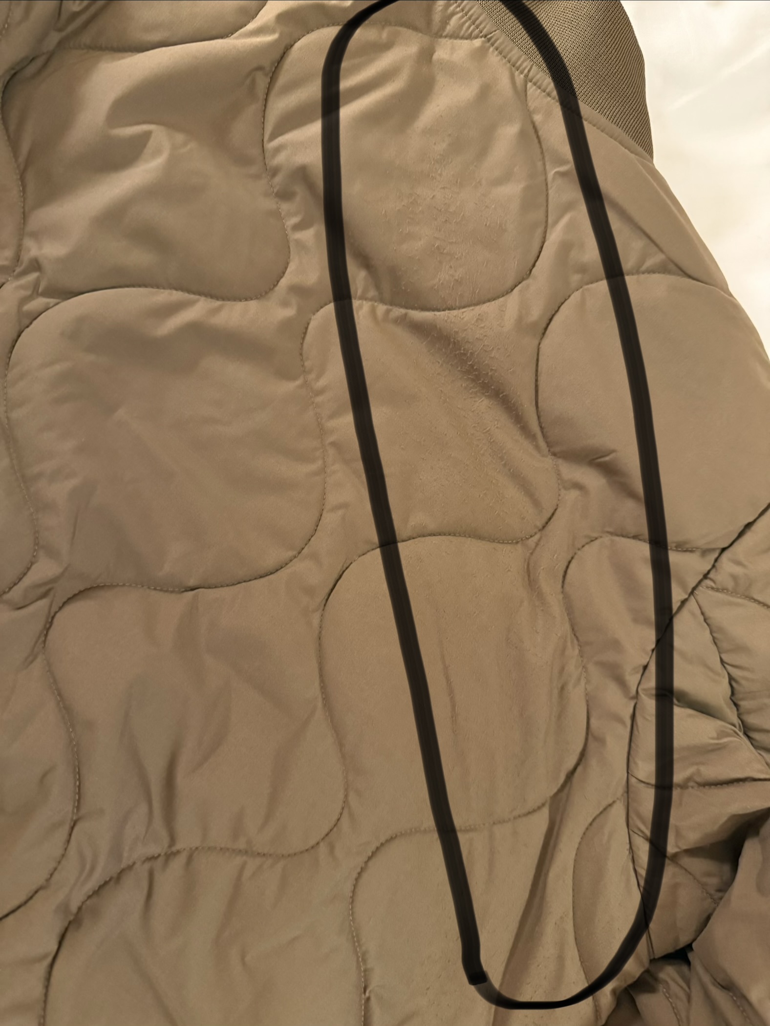 レビュー投稿画像