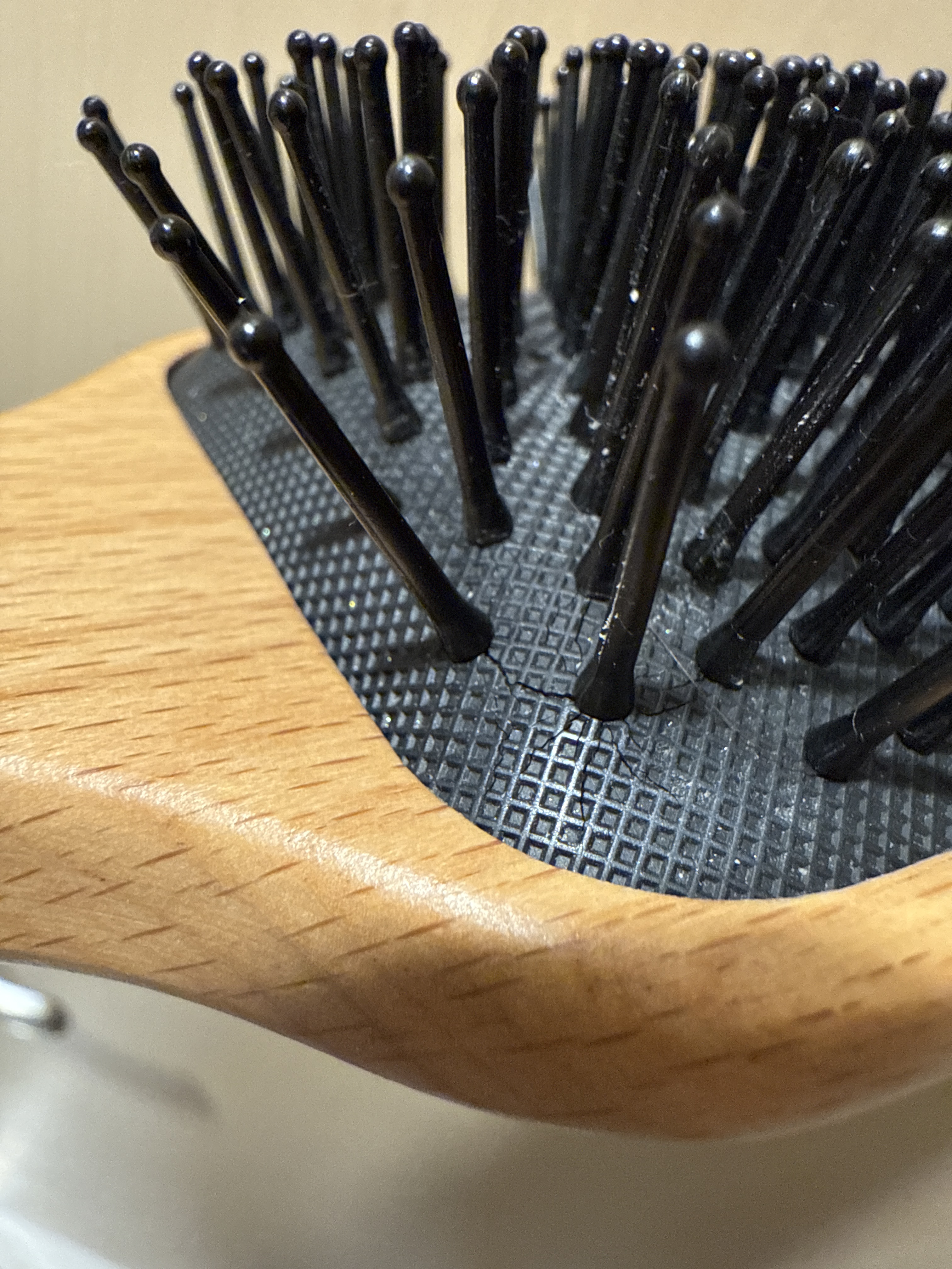 レビュー投稿画像