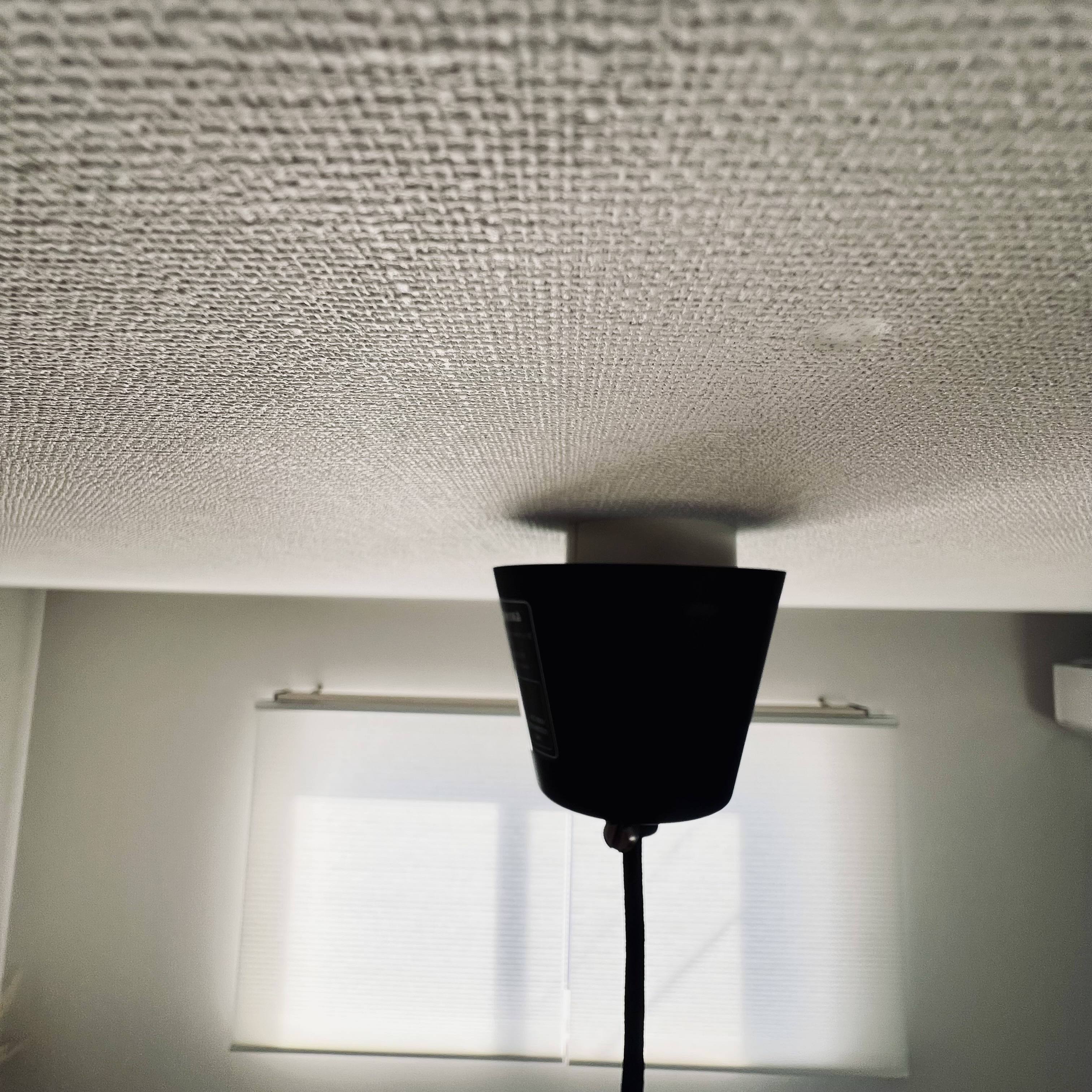 レビュー投稿画像