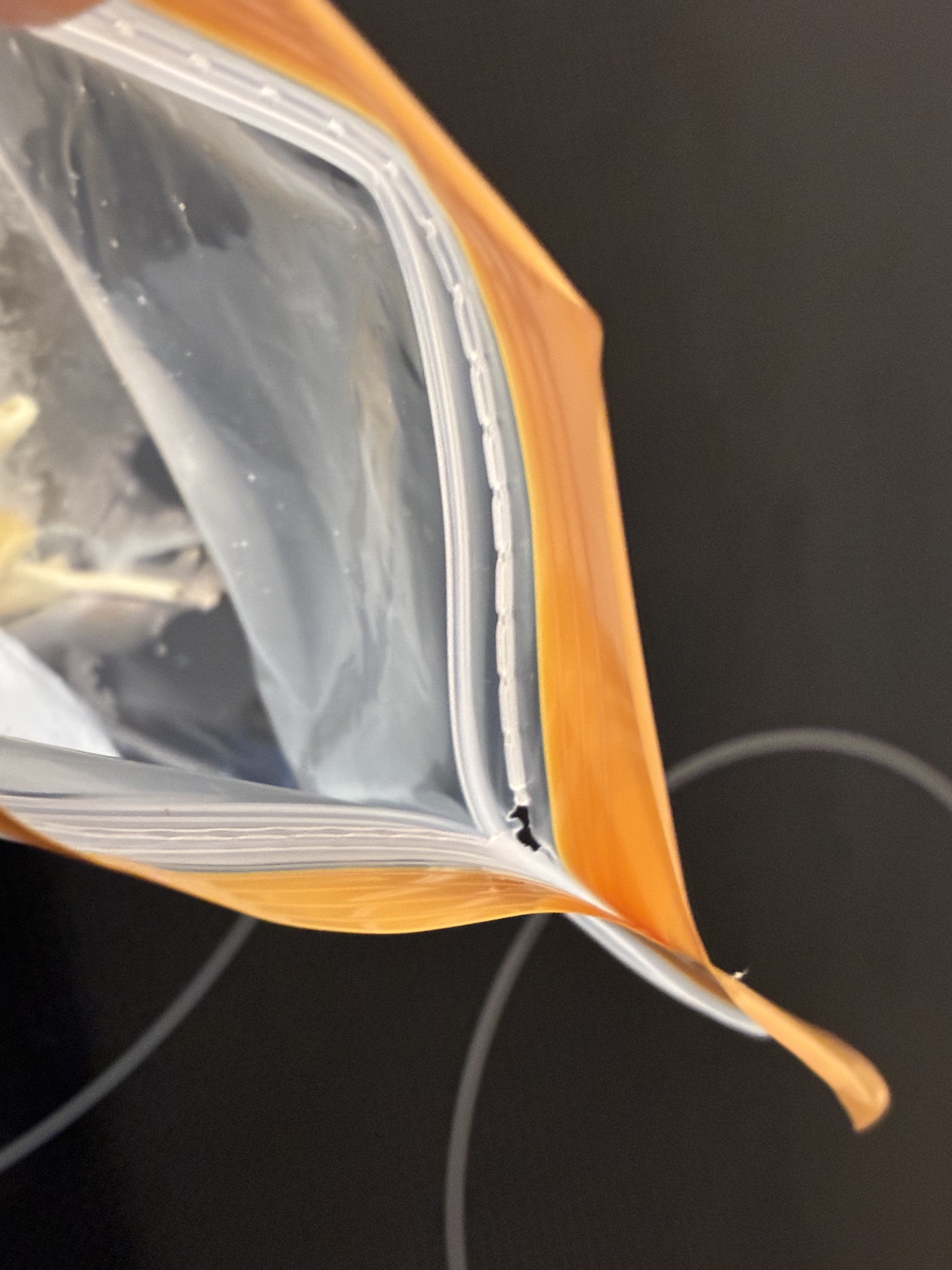 レビュー投稿画像