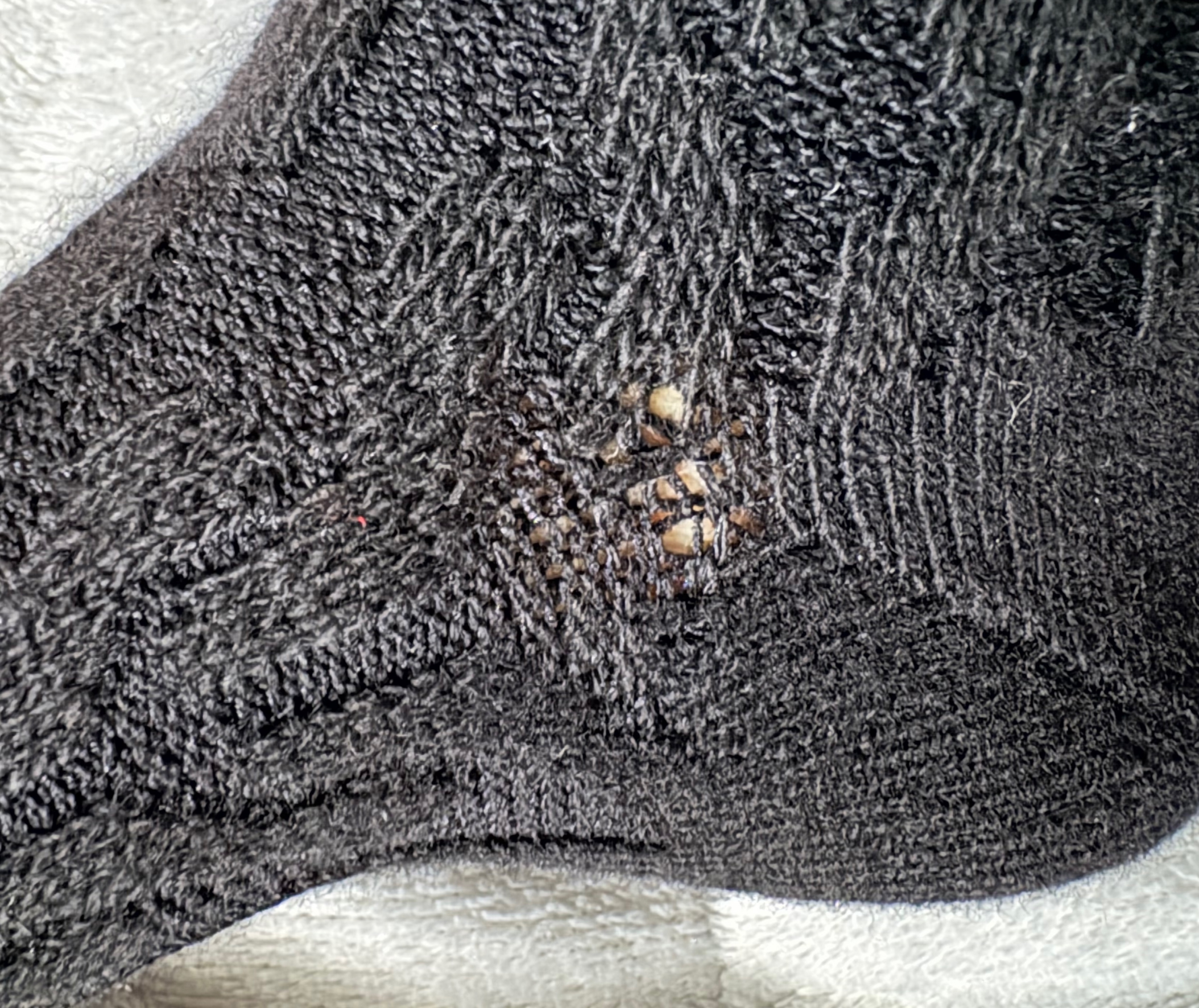 レビュー投稿画像