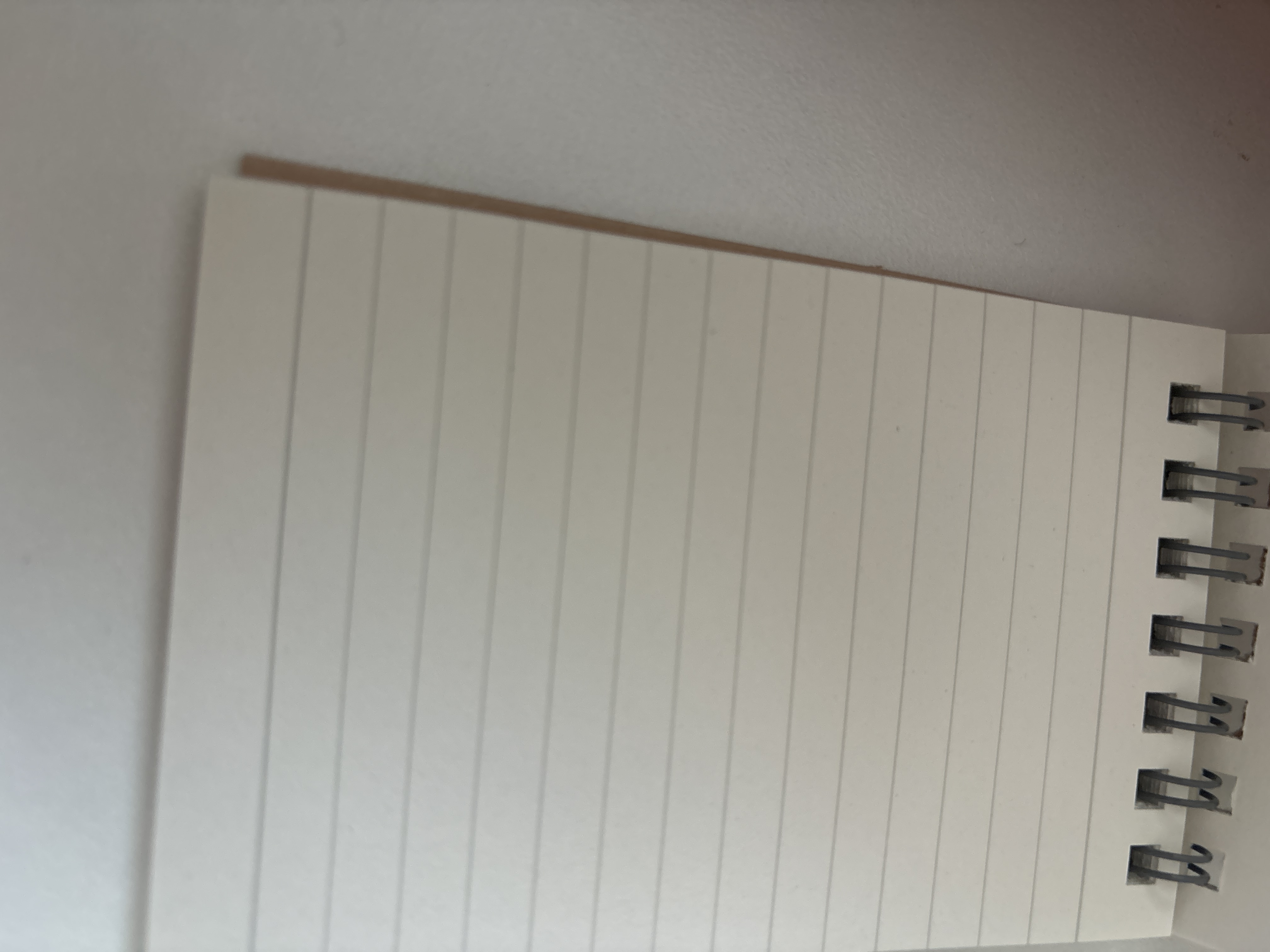 レビュー投稿画像