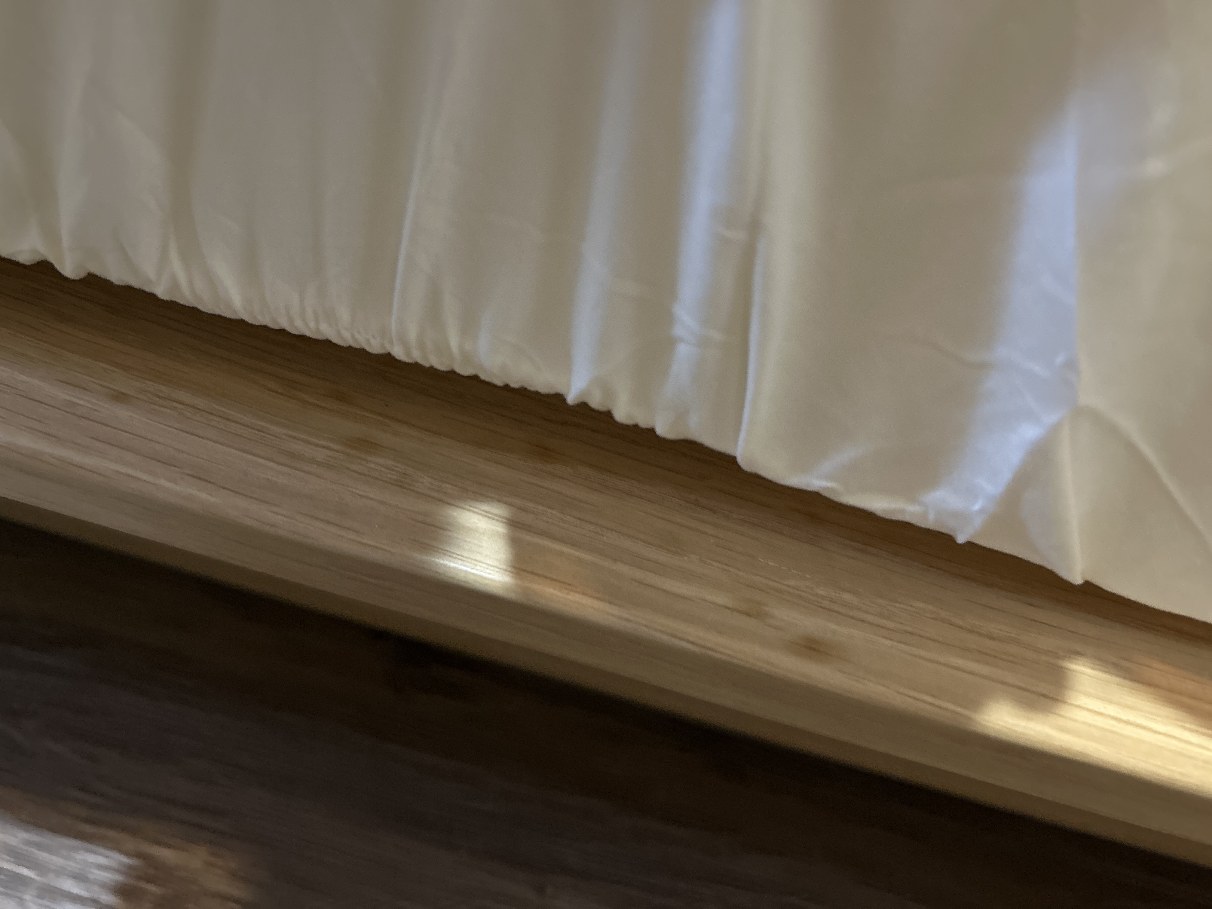 レビュー投稿画像