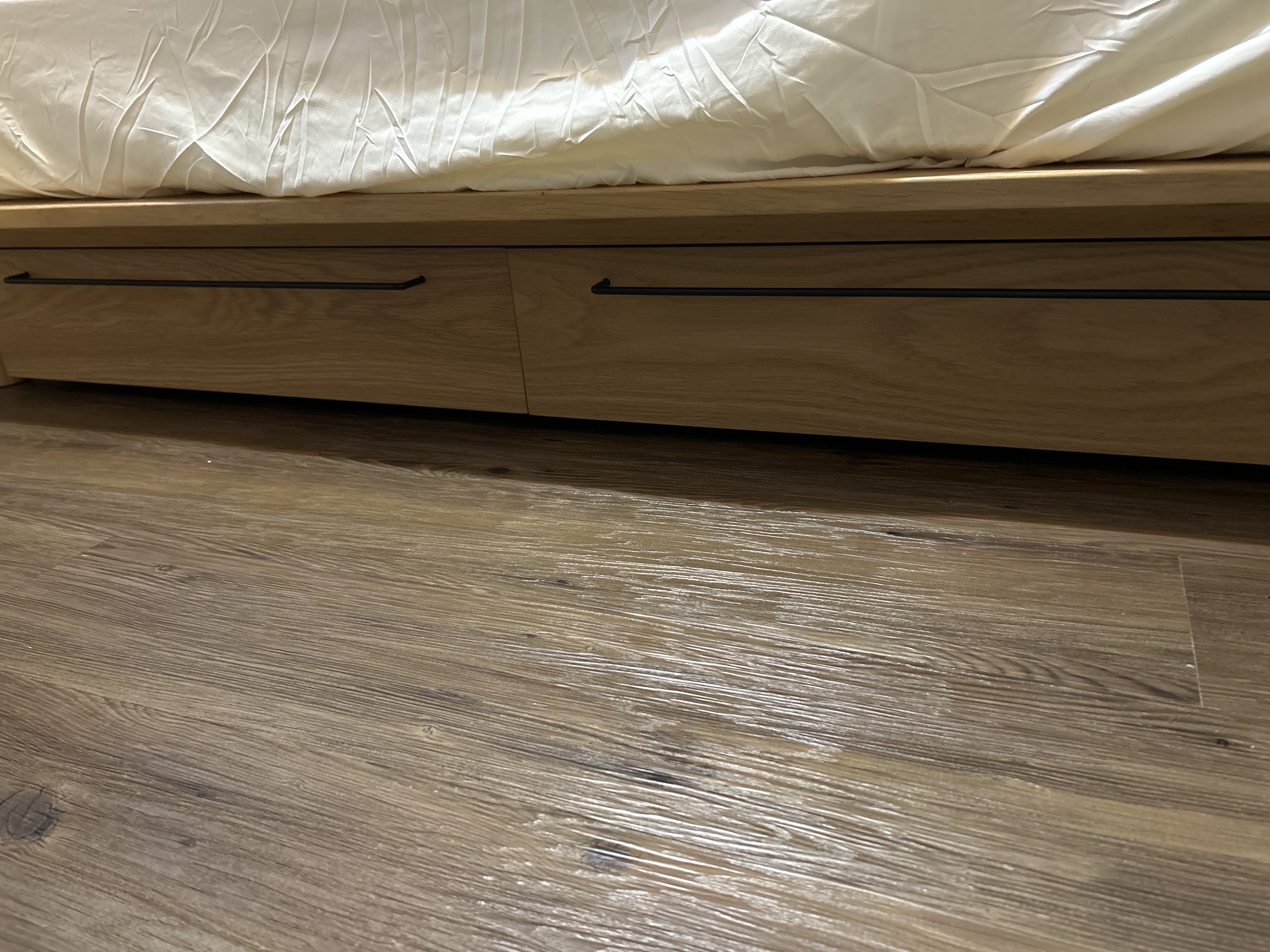 レビュー投稿画像