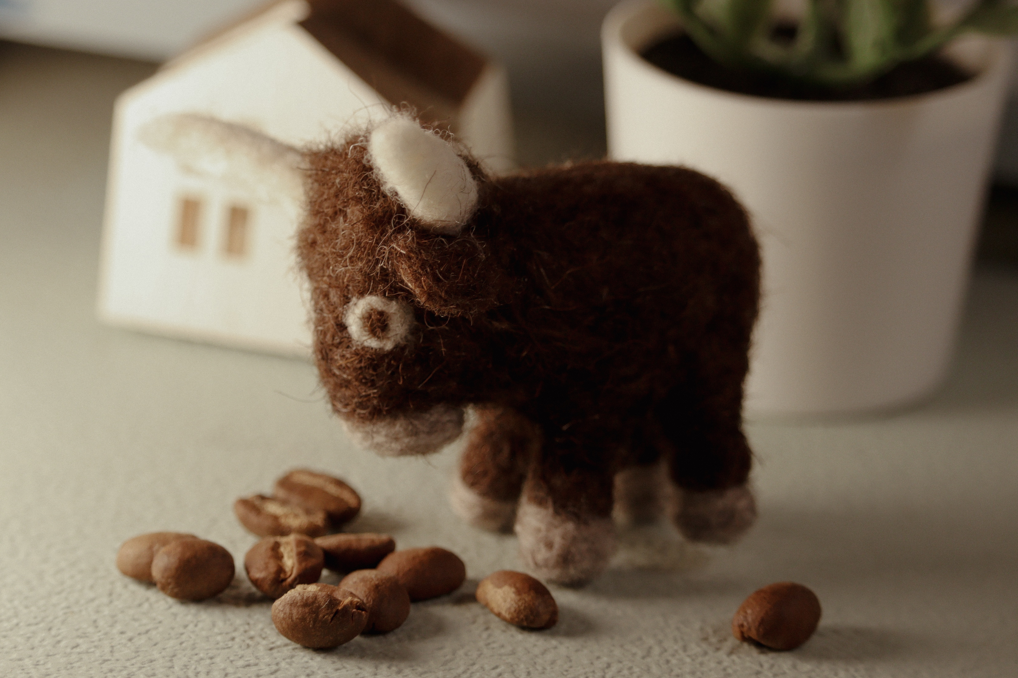 レビュー投稿画像