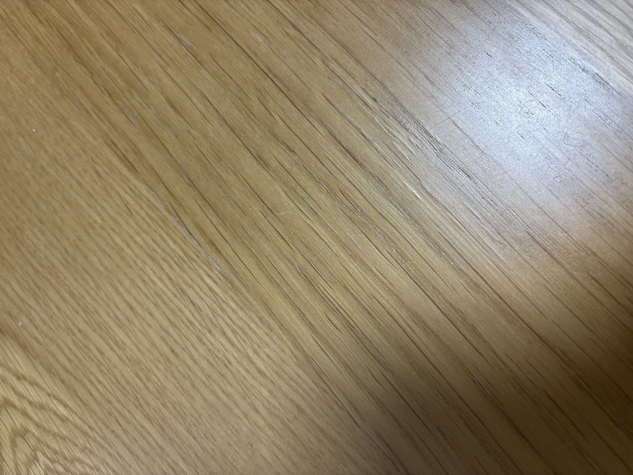 レビュー投稿画像