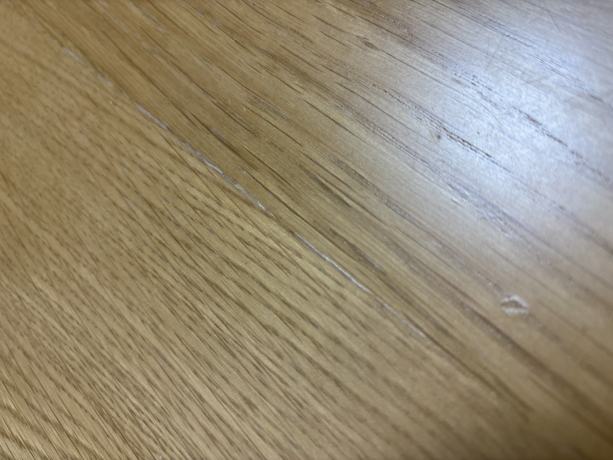 レビュー投稿画像