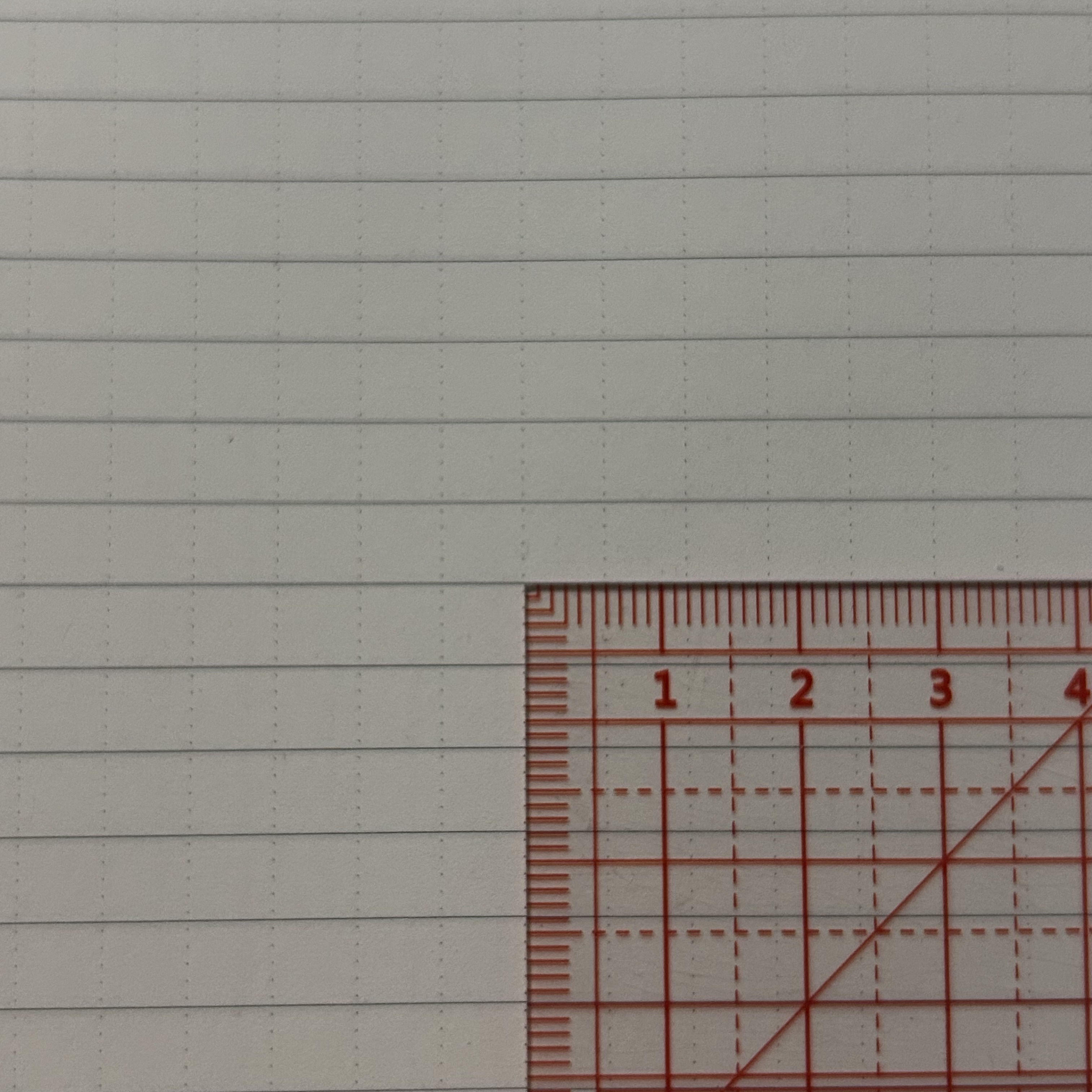 レビュー投稿画像