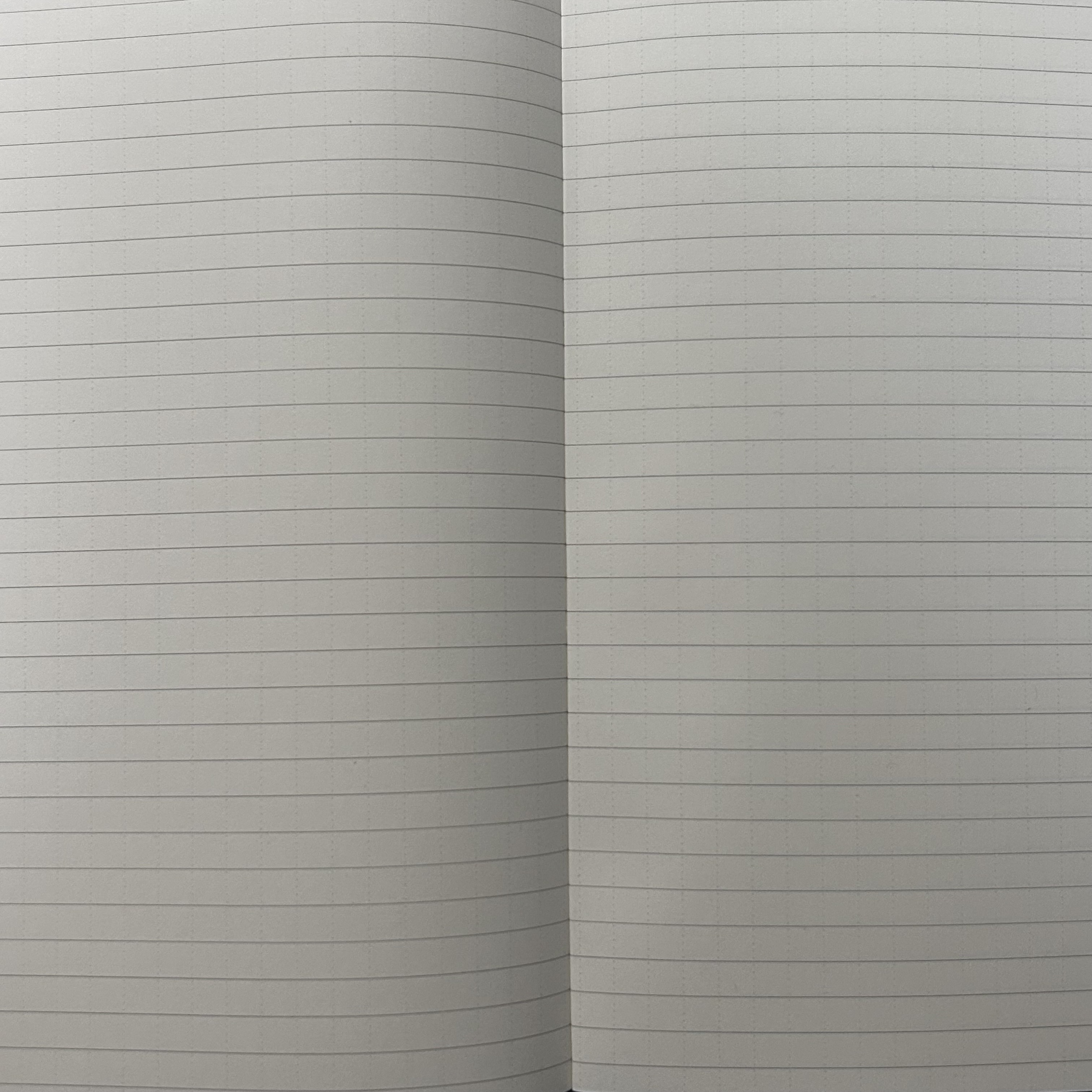 レビュー投稿画像