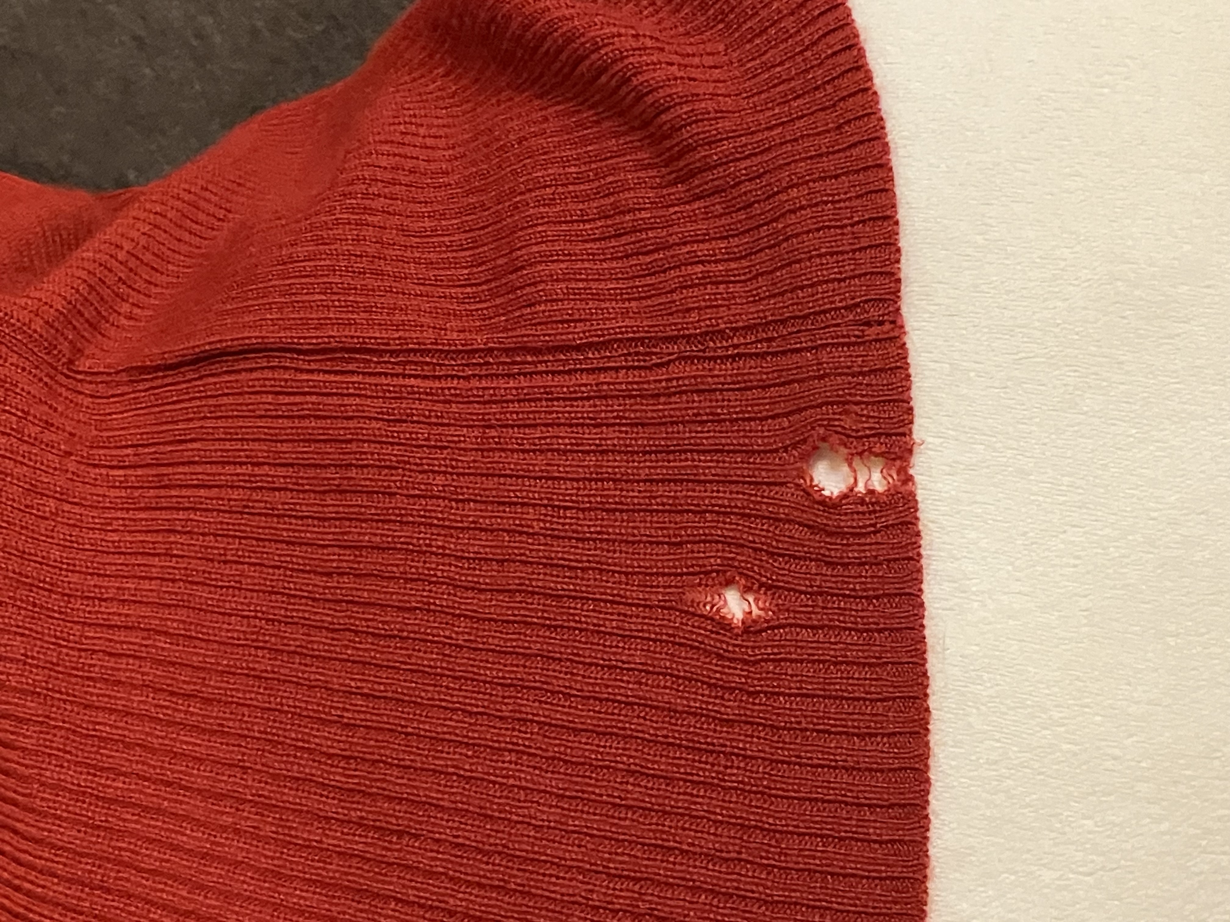 レビュー投稿画像