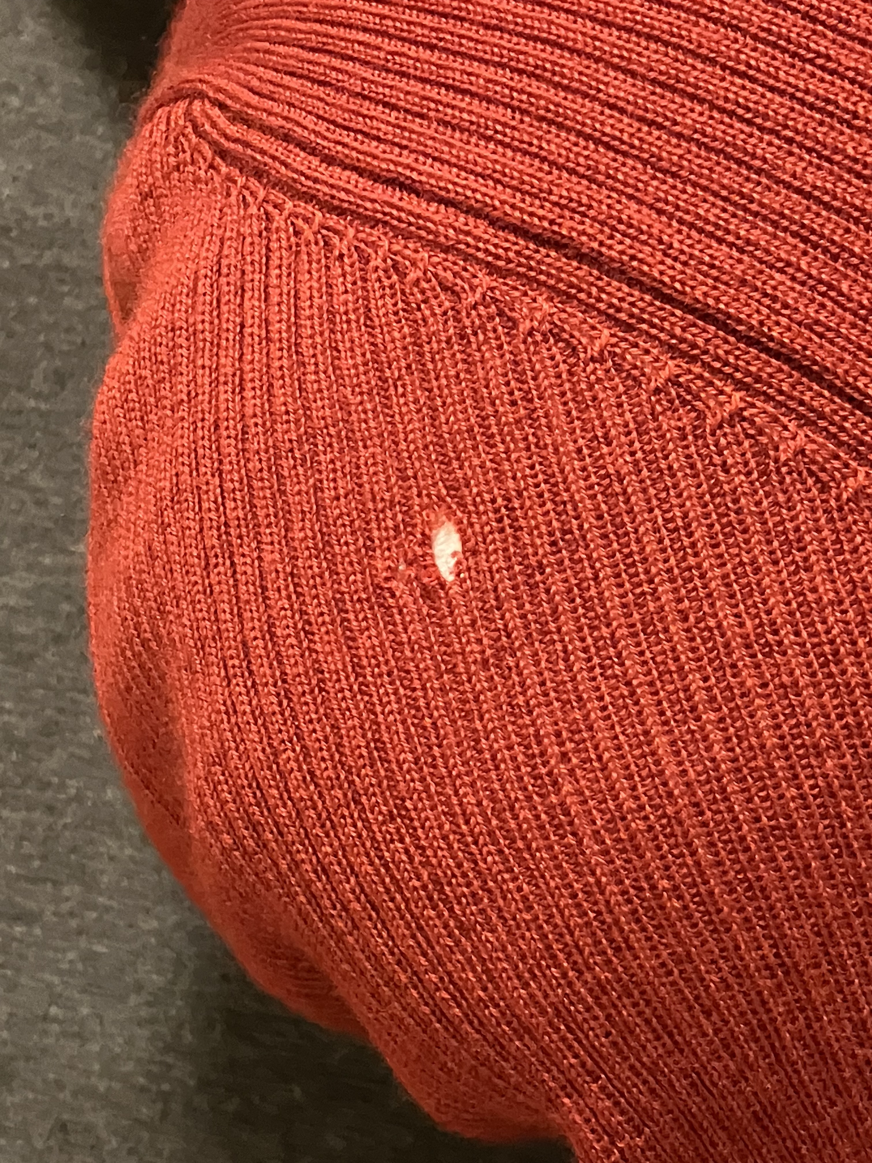 レビュー投稿画像