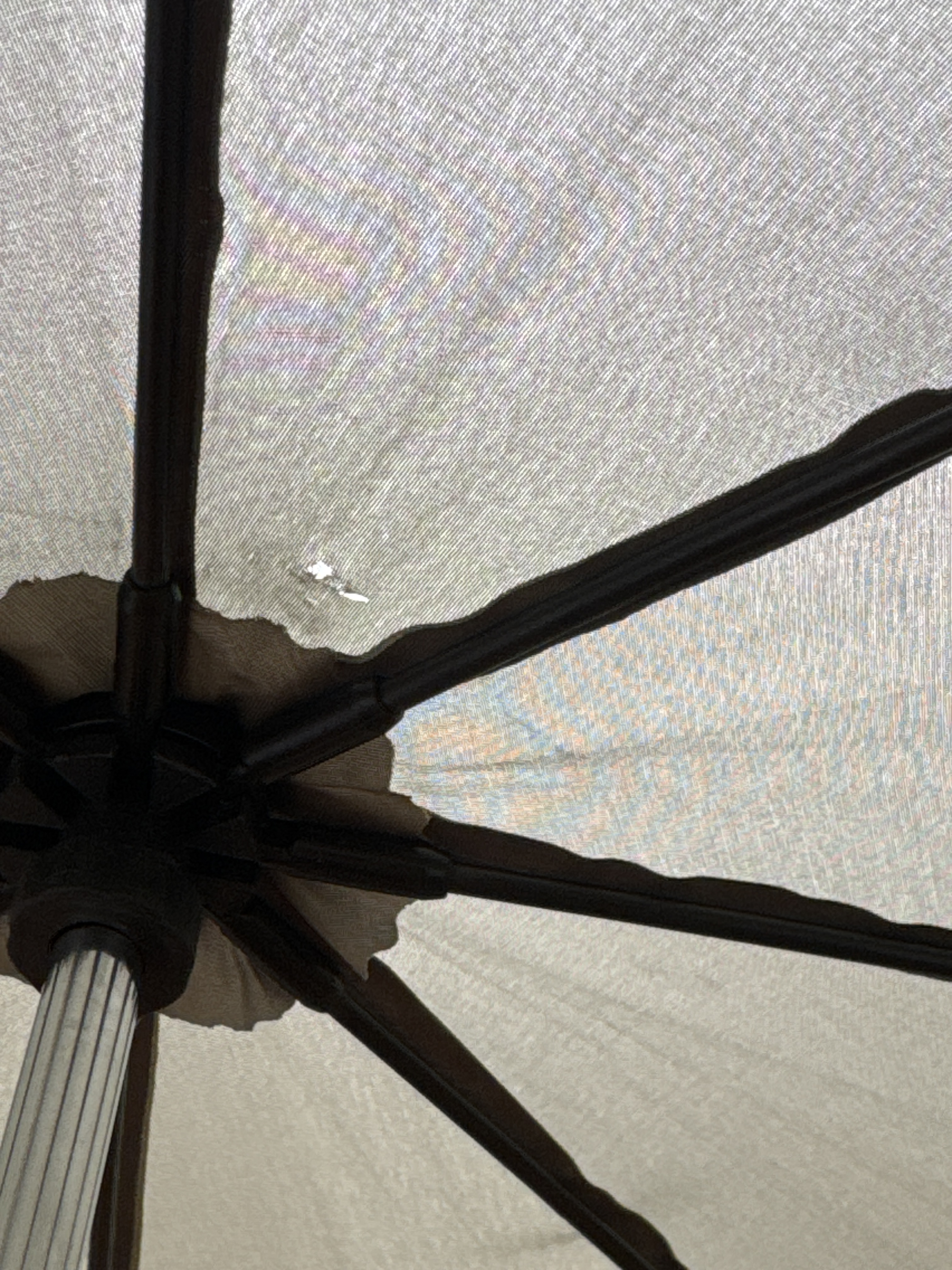 レビュー投稿画像