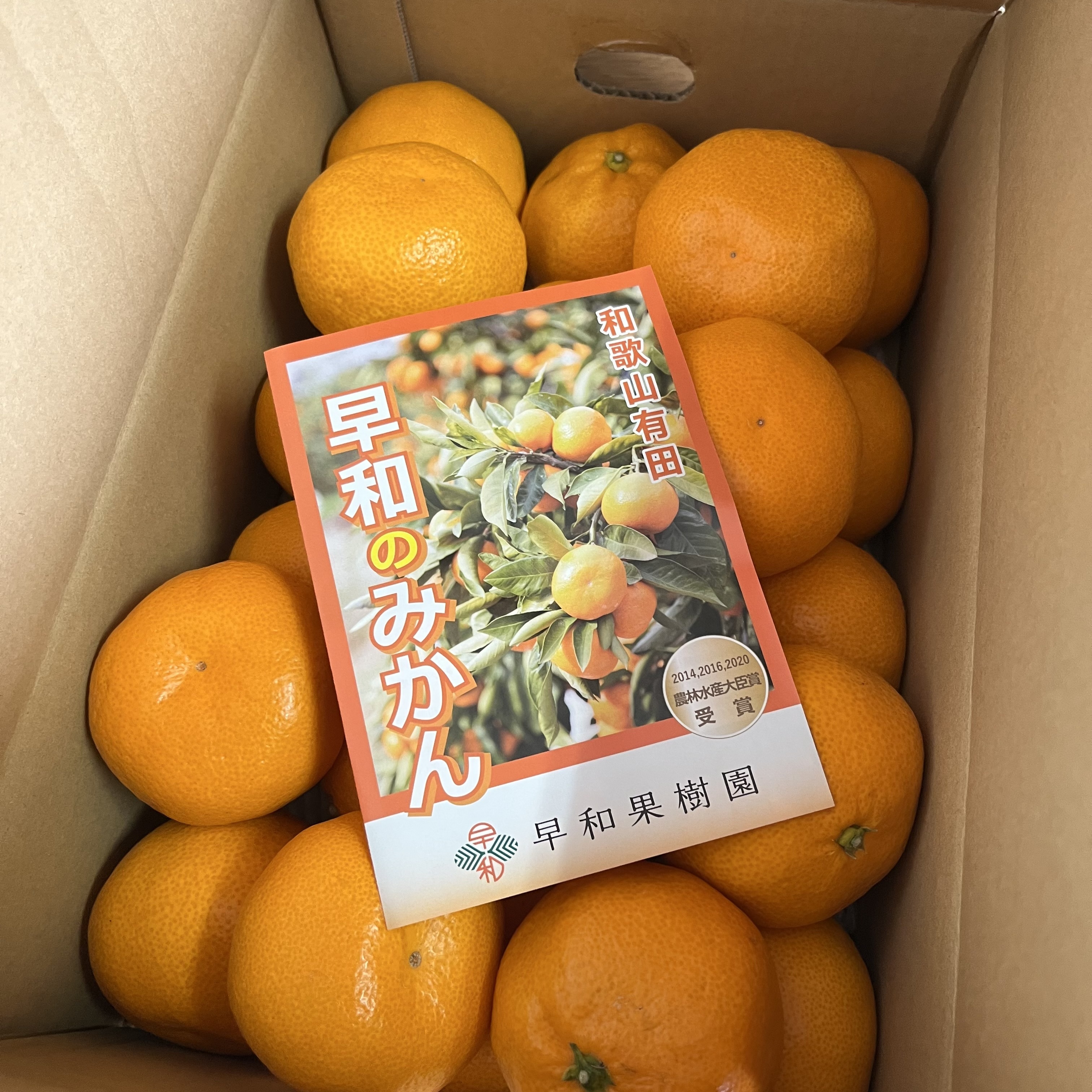 レビュー投稿画像