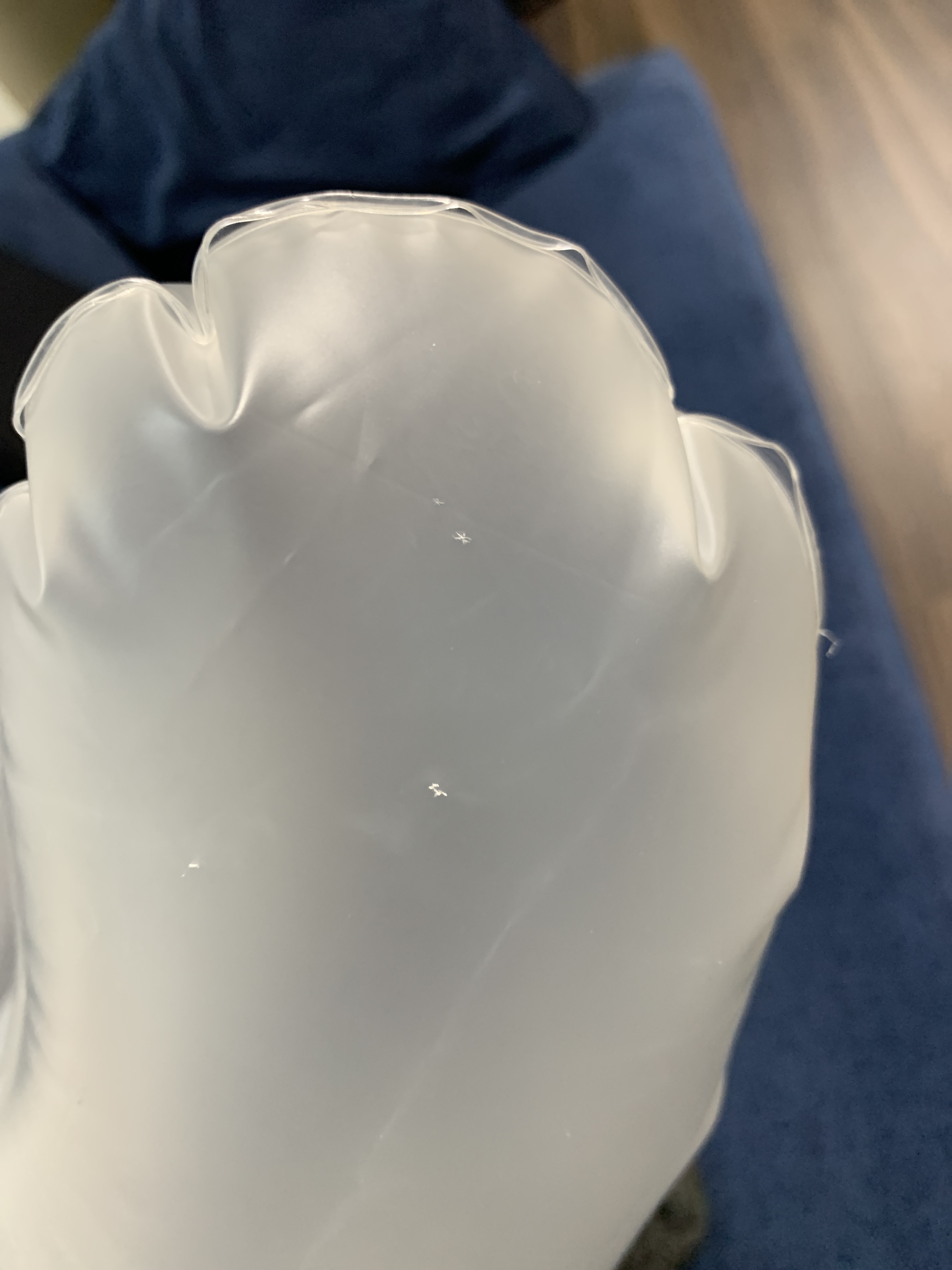 レビュー投稿画像