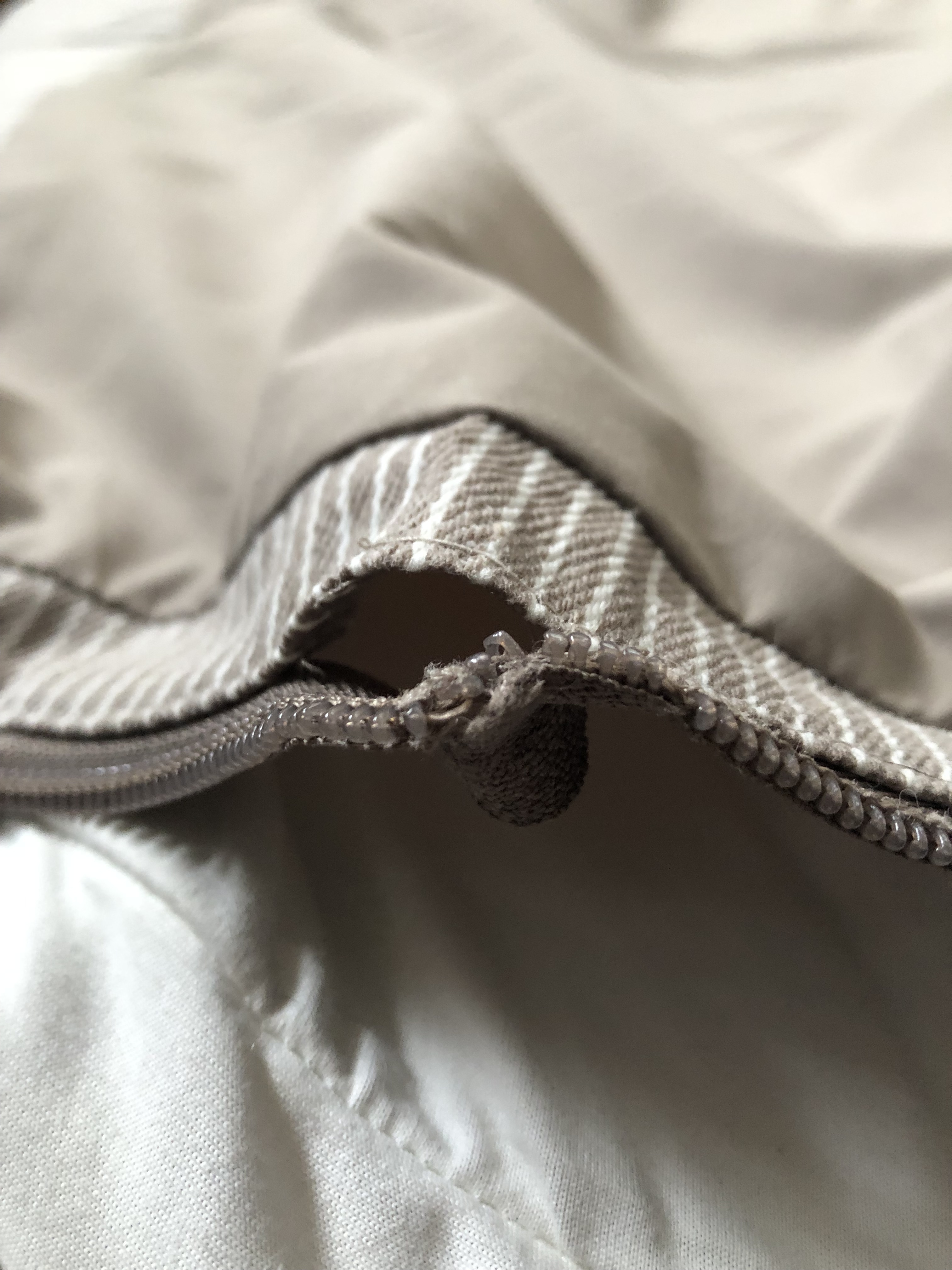 レビュー投稿画像