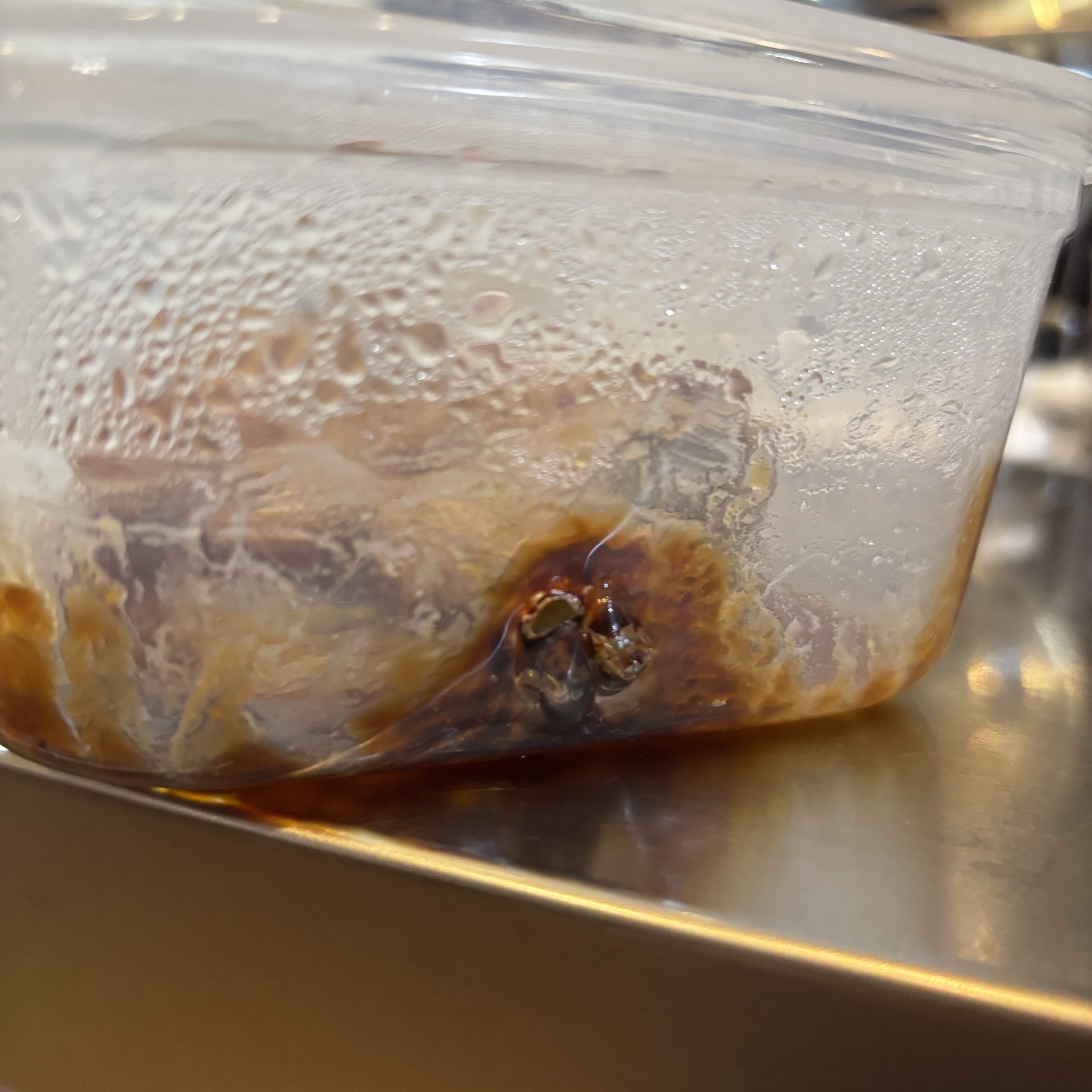 レビュー投稿画像