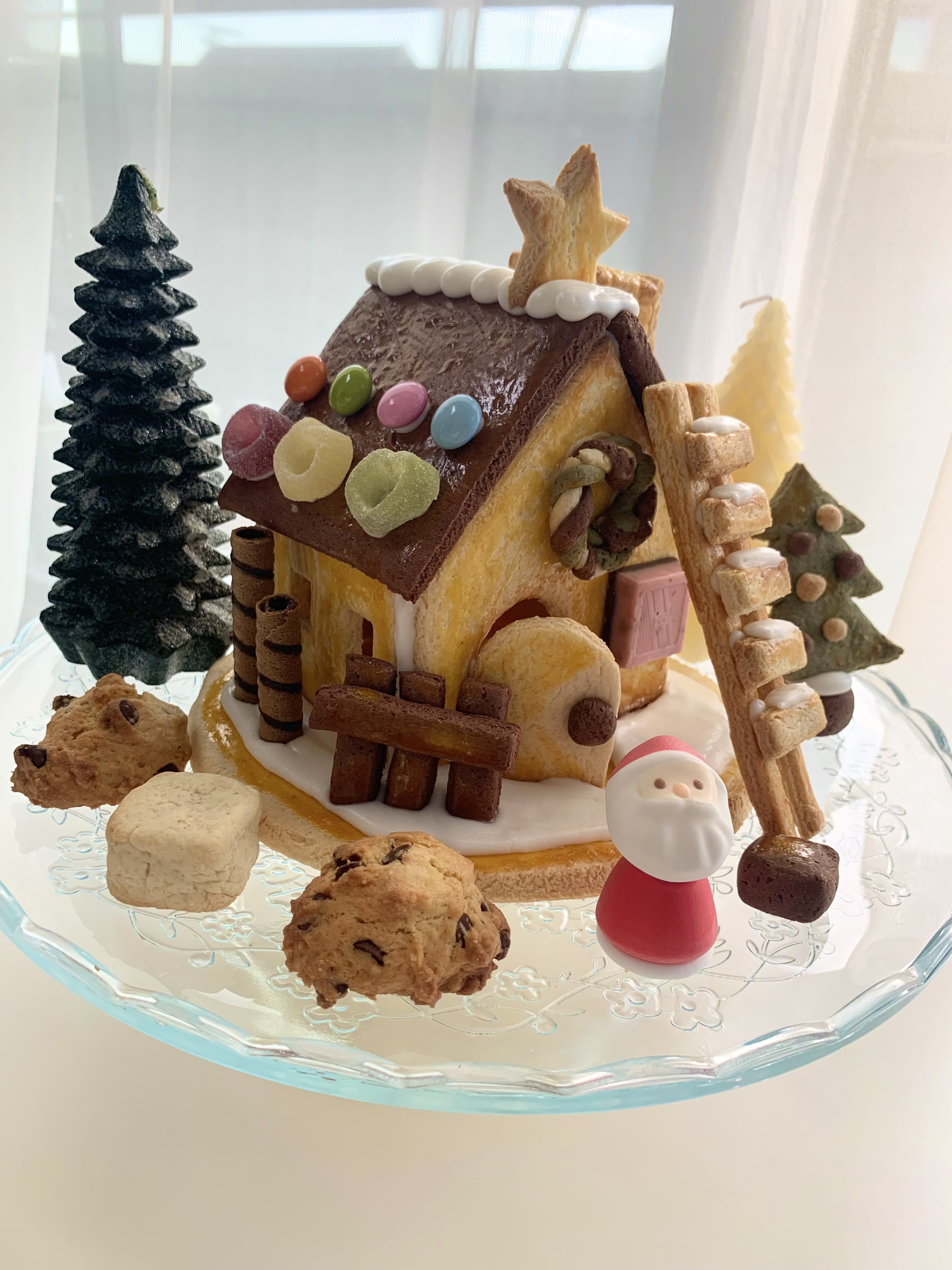 レビュー投稿画像