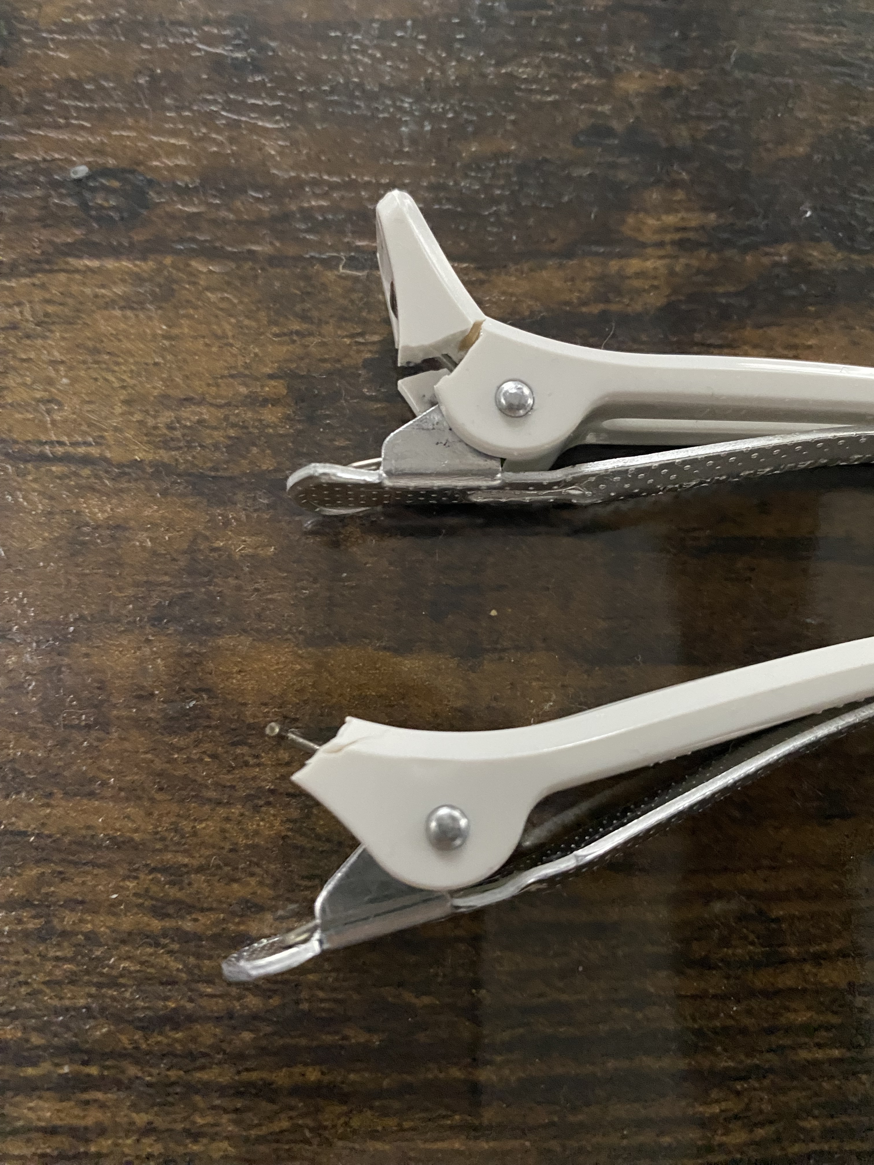 レビュー投稿画像