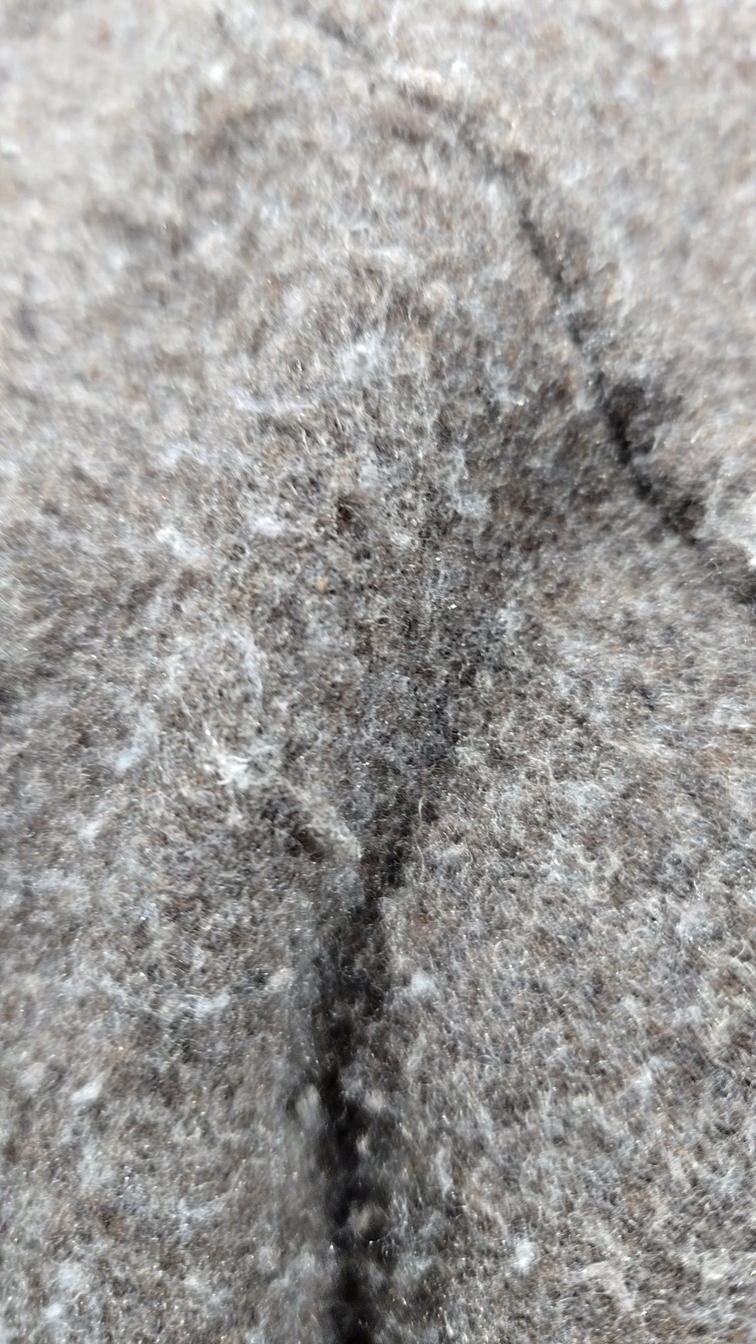 レビュー投稿画像