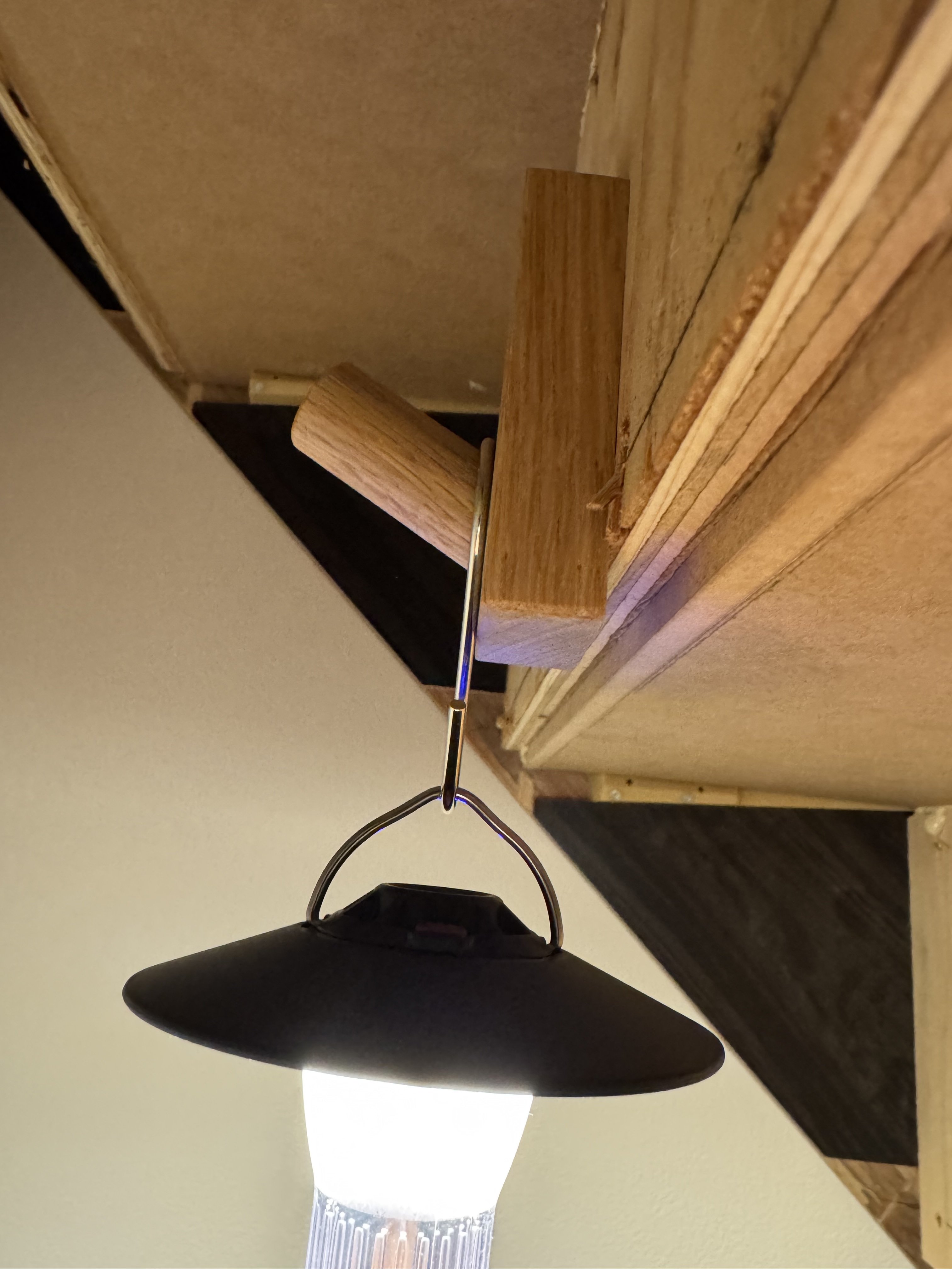 レビュー投稿画像